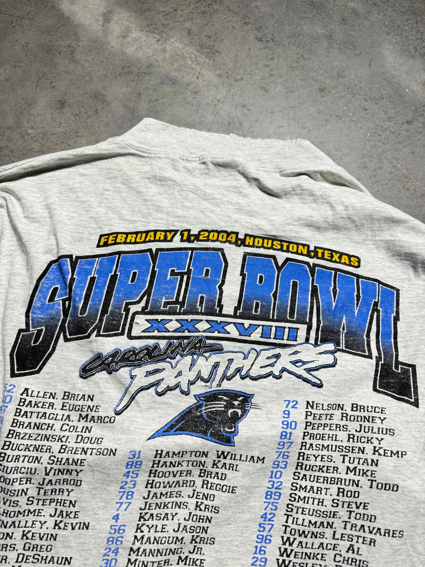 2004 Carolina Panthers Heather Grey Super Bowl XXXVIII “Houston, Here We Come!” Vintage NFL Longsleeve Roster Tee (XXL)