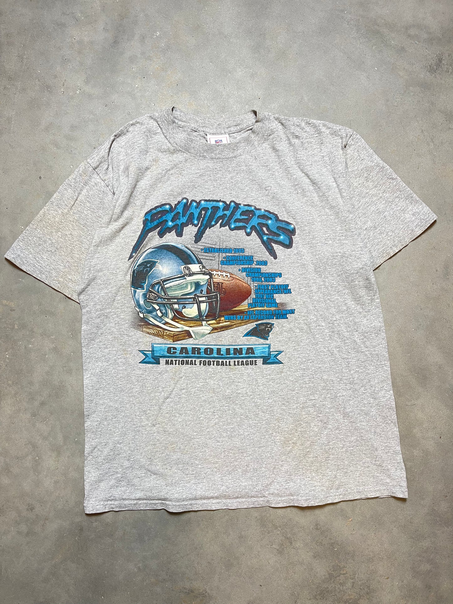 2004 Carolina Panthers Vintage Accolades NFL Tee (Large)