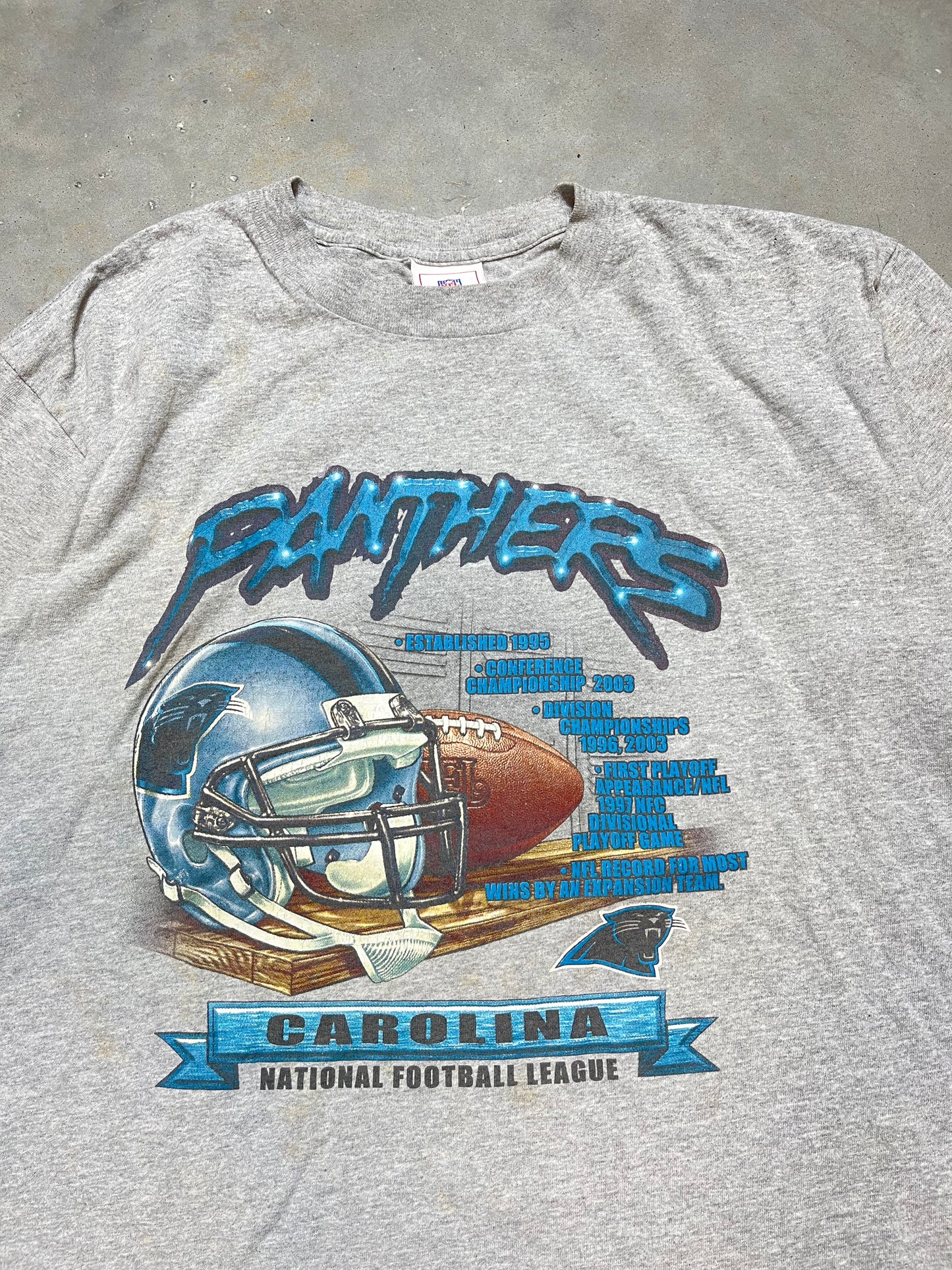 2004 Carolina Panthers Vintage Accolades NFL Tee (Large)