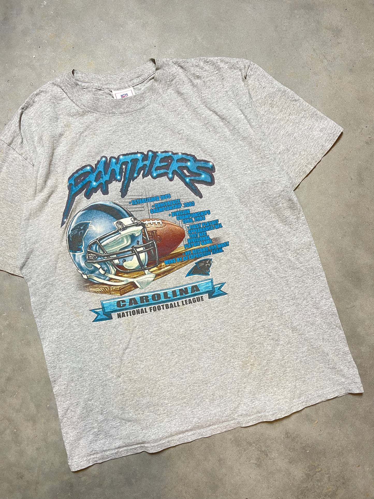 2004 Carolina Panthers Vintage Accolades NFL Tee (Large)