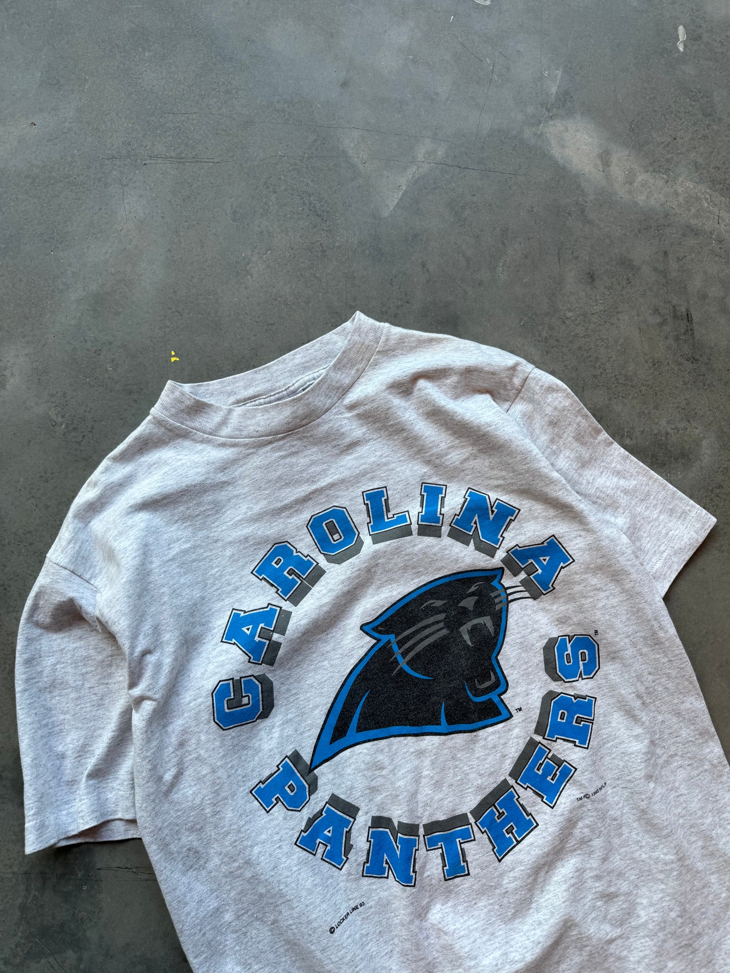 1993 Carolina Panthers Vintage Sphere Logo NFL Tee (Large)