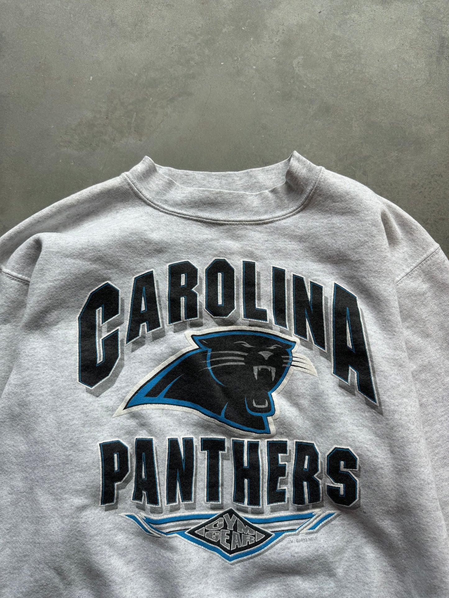 1993 Carolina Panthers Vintage Gym Gear Heavyweight NFL Crewneck (Medium)