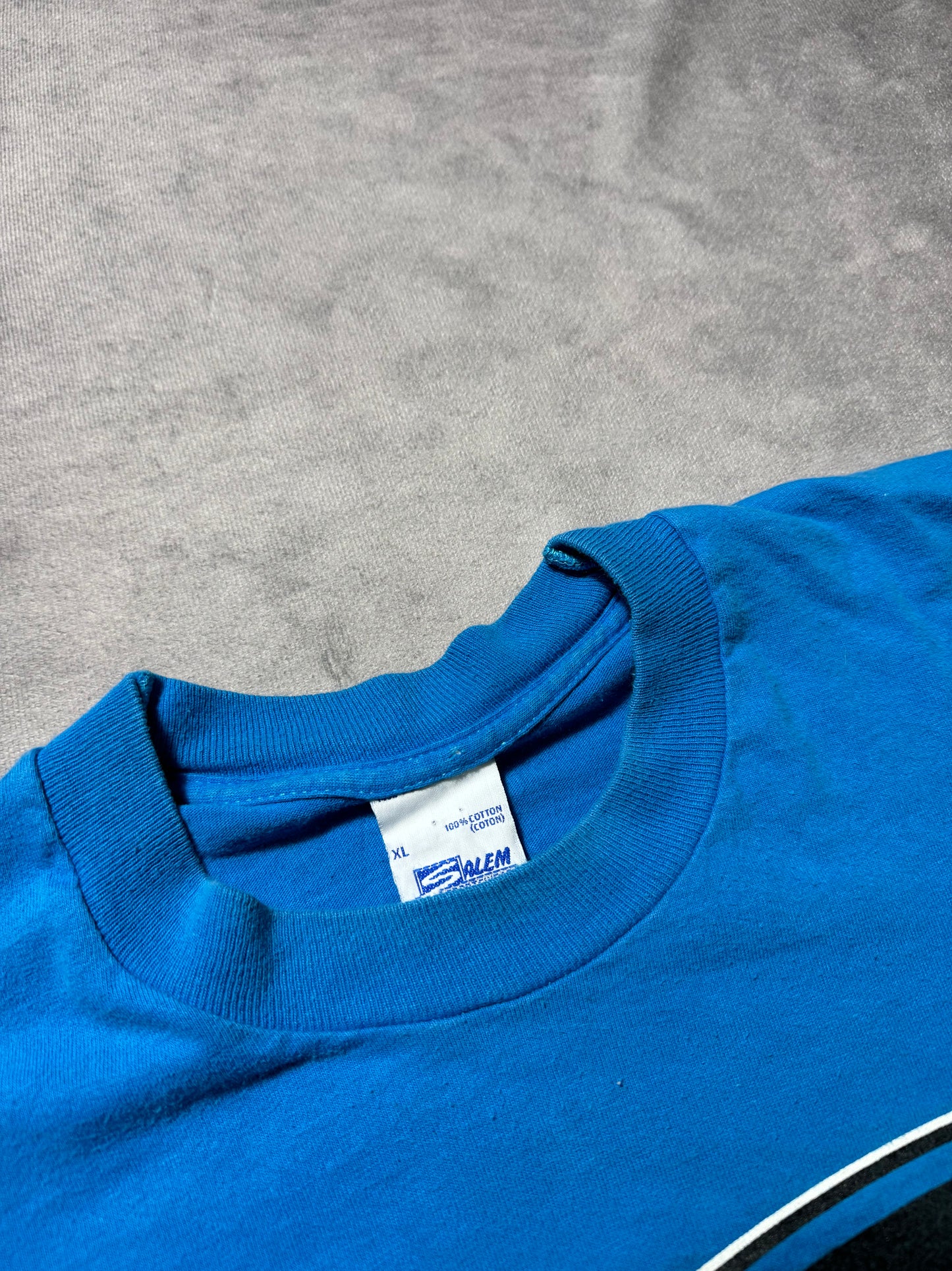 1995 Carolina Panthers Vintage Salem Sportswear Big Print Inaugural Season NFL Tee (XL)