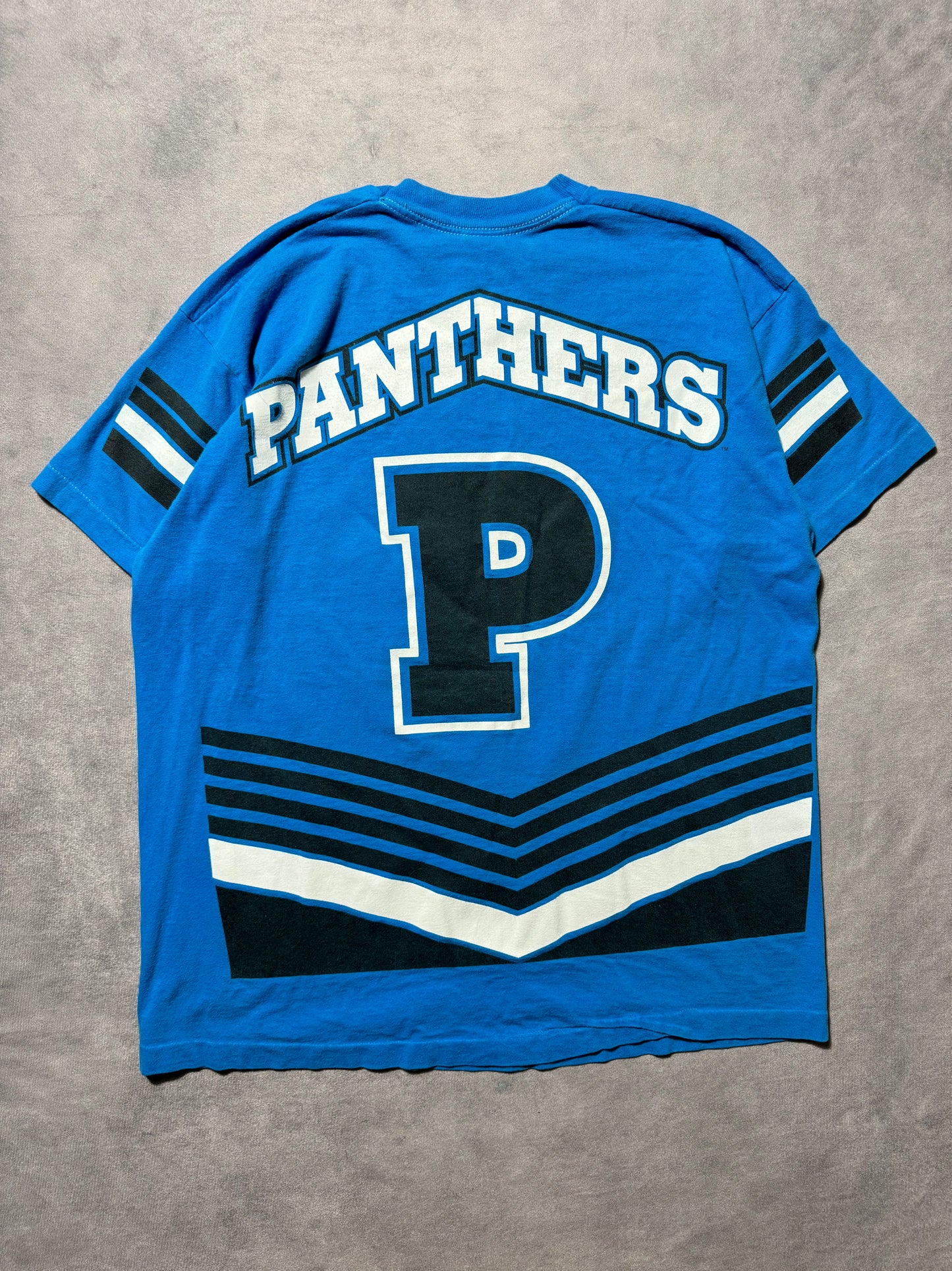 1995 Carolina Panthers Vintage Salem Sportswear Big Print Inaugural Season NFL Tee (XL)