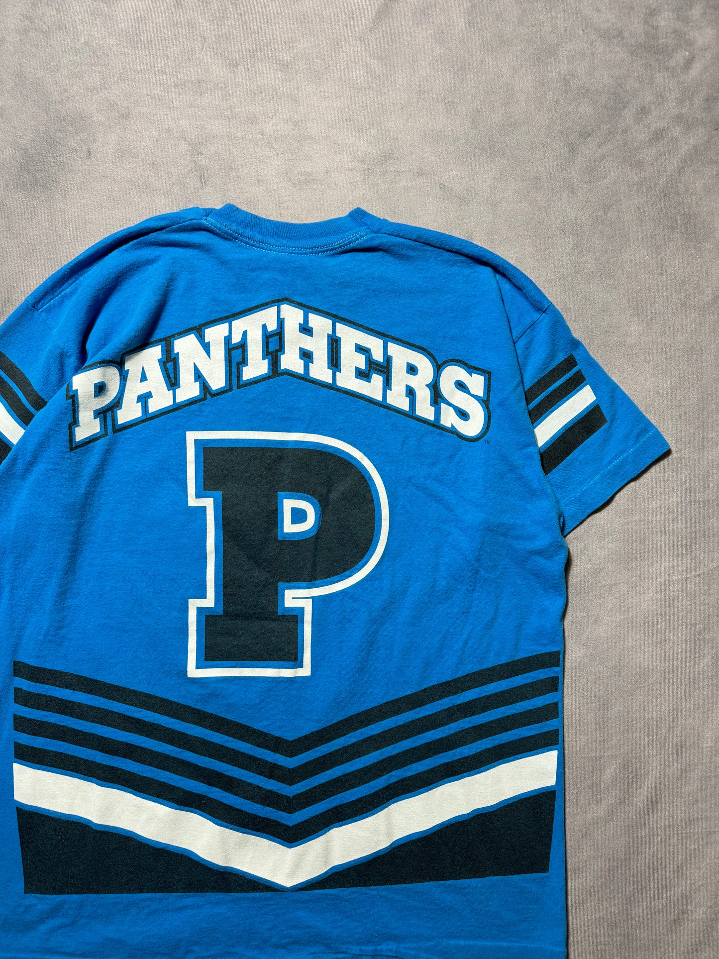 1995 Carolina Panthers Vintage Salem Sportswear Big Print Inaugural Season NFL Tee (XL)