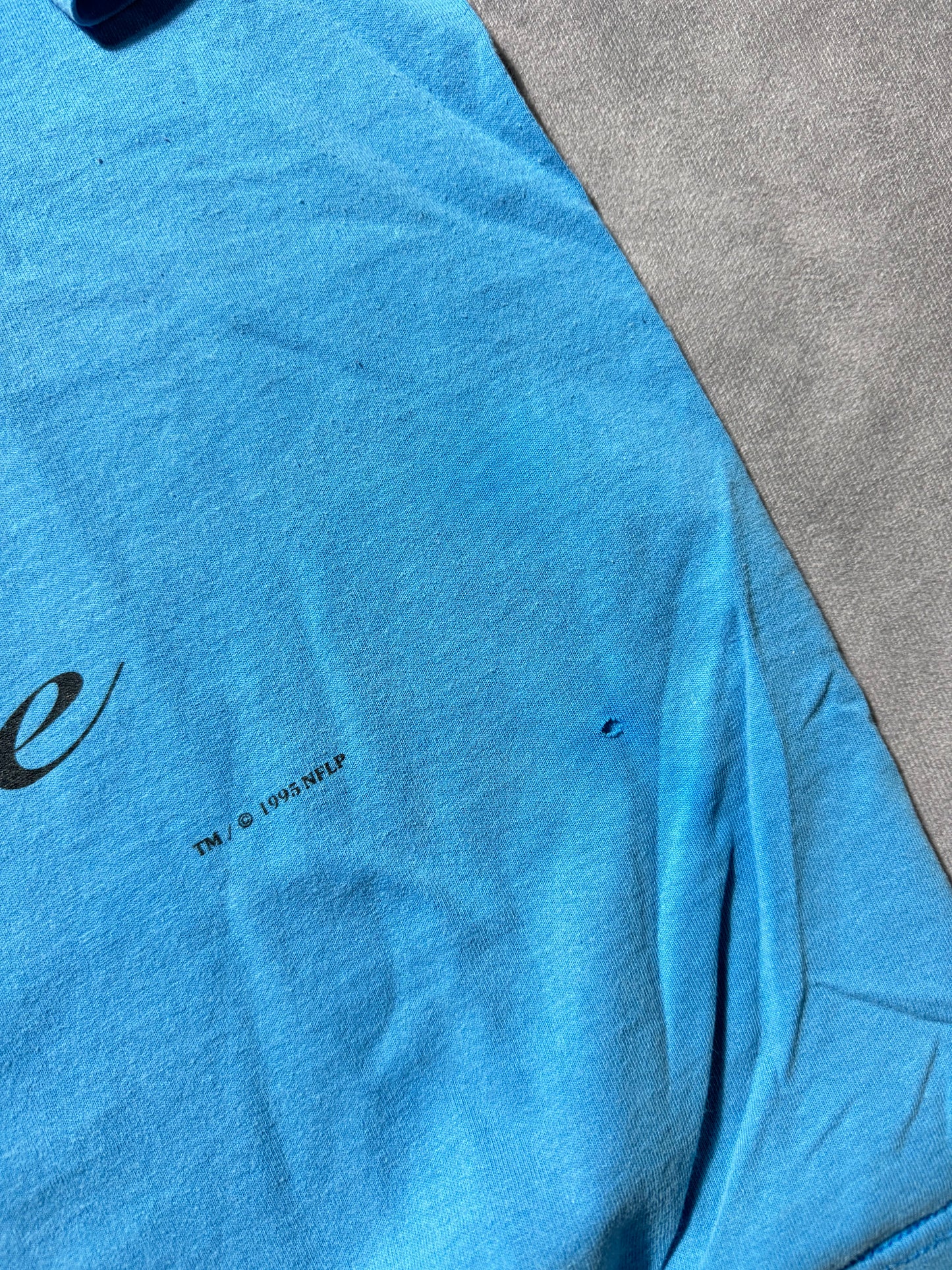 1995 Carolina Panthers Vintage Faded Blue Lee Sport Inaugural Season NFL Tee (XXL)