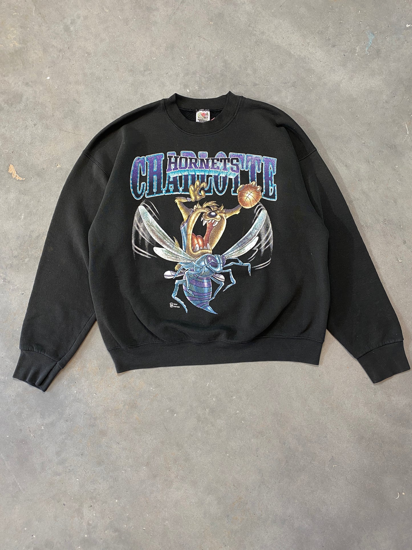 90’s Charlotte Hornets x Taz Vintage NBA Crewneck (XL)