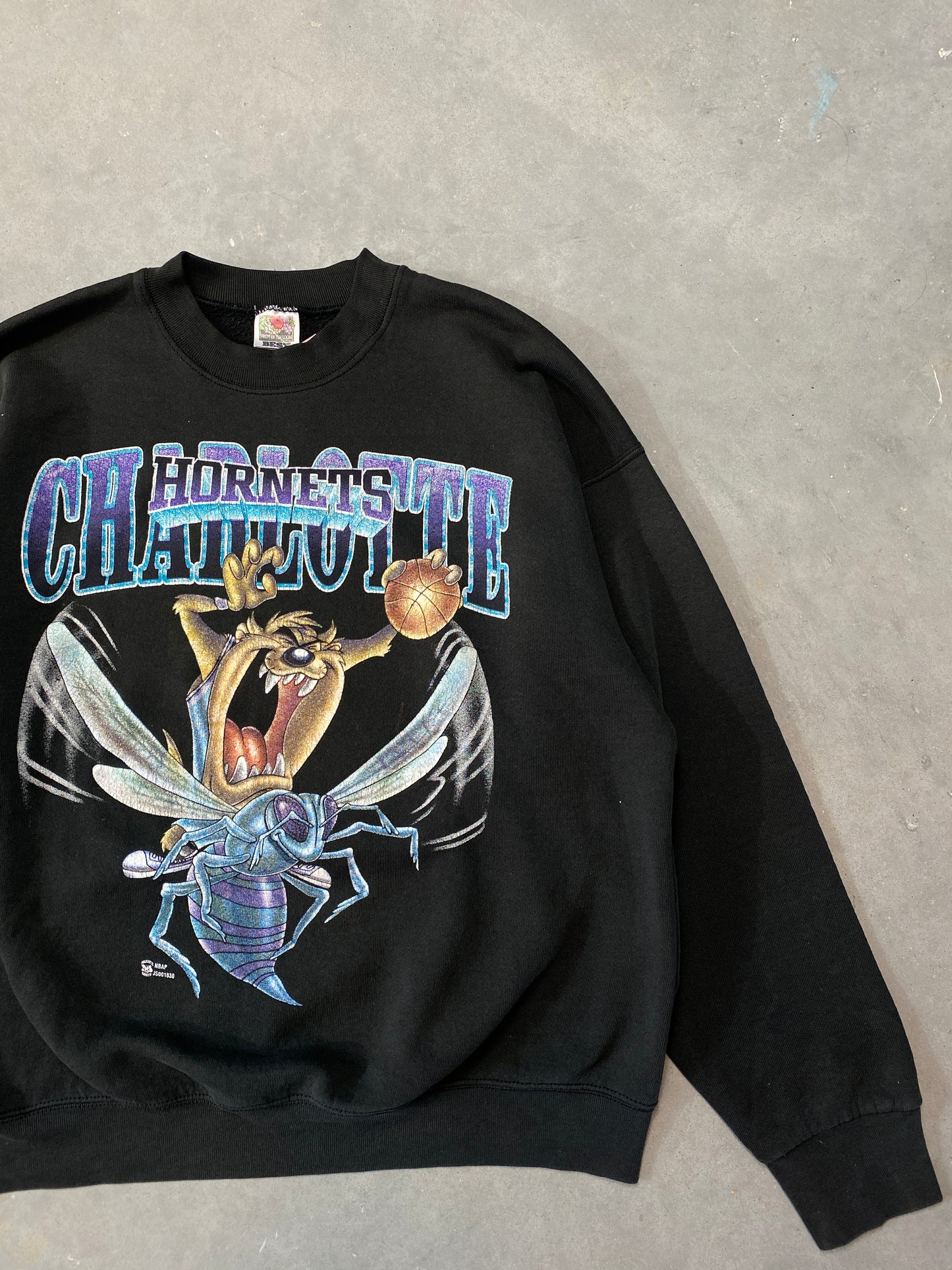 90’s Charlotte Hornets x Taz Vintage NBA Crewneck (XL)