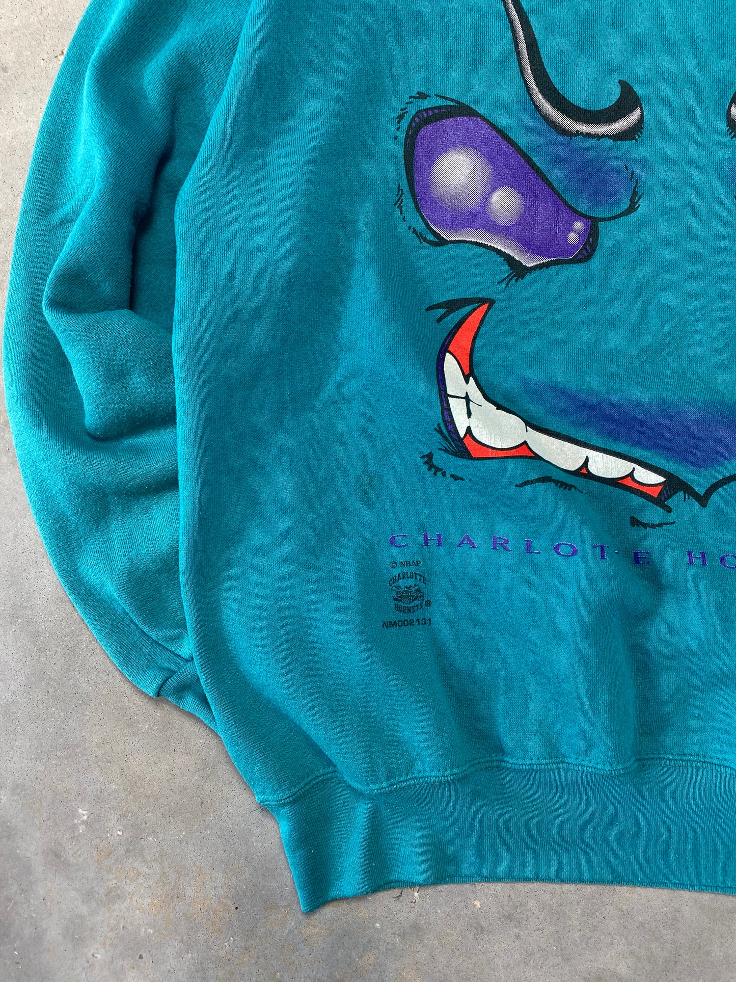 90’s Charlotte Hornets Vintage Big Face Logo Nutmeg Mills NBA Crewneck (Large)