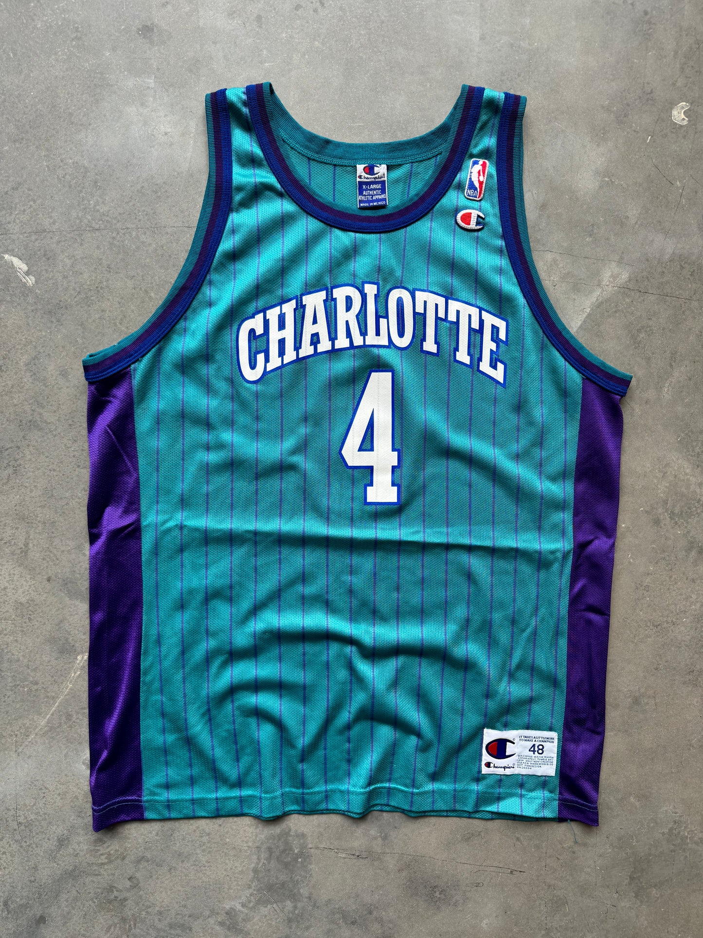 90’s Charlotte Hornets David Wesley Vintage Teal Pinstriped Champion NBA Jersey (48/XL)