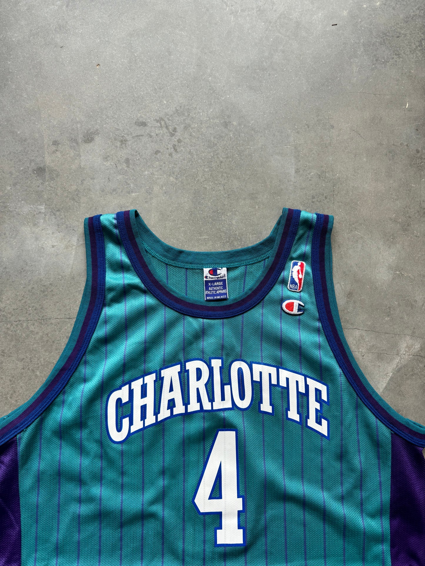 90’s Charlotte Hornets David Wesley Vintage Teal Pinstriped Champion NBA Jersey (48/XL)