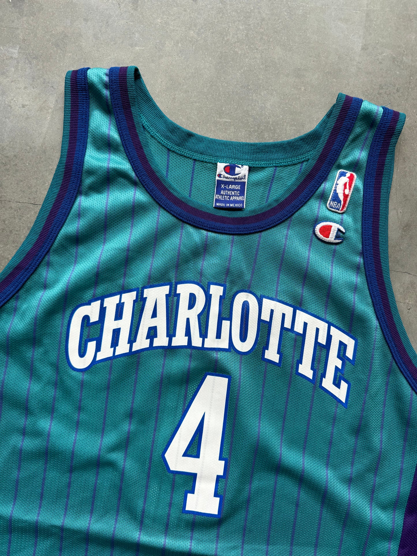 90’s Charlotte Hornets David Wesley Vintage Teal Pinstriped Champion NBA Jersey (48/XL)
