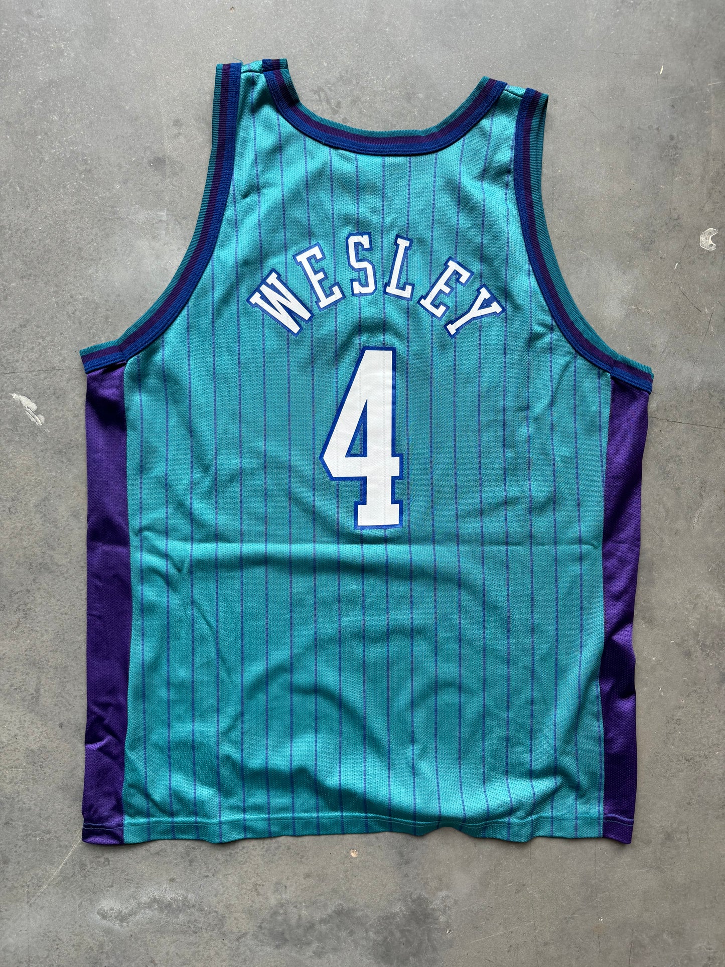 90’s Charlotte Hornets David Wesley Vintage Teal Pinstriped Champion NBA Jersey (48/XL)