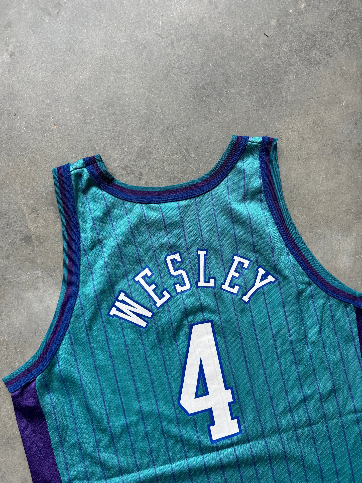 90’s Charlotte Hornets David Wesley Vintage Teal Pinstriped Champion NBA Jersey (48/XL)
