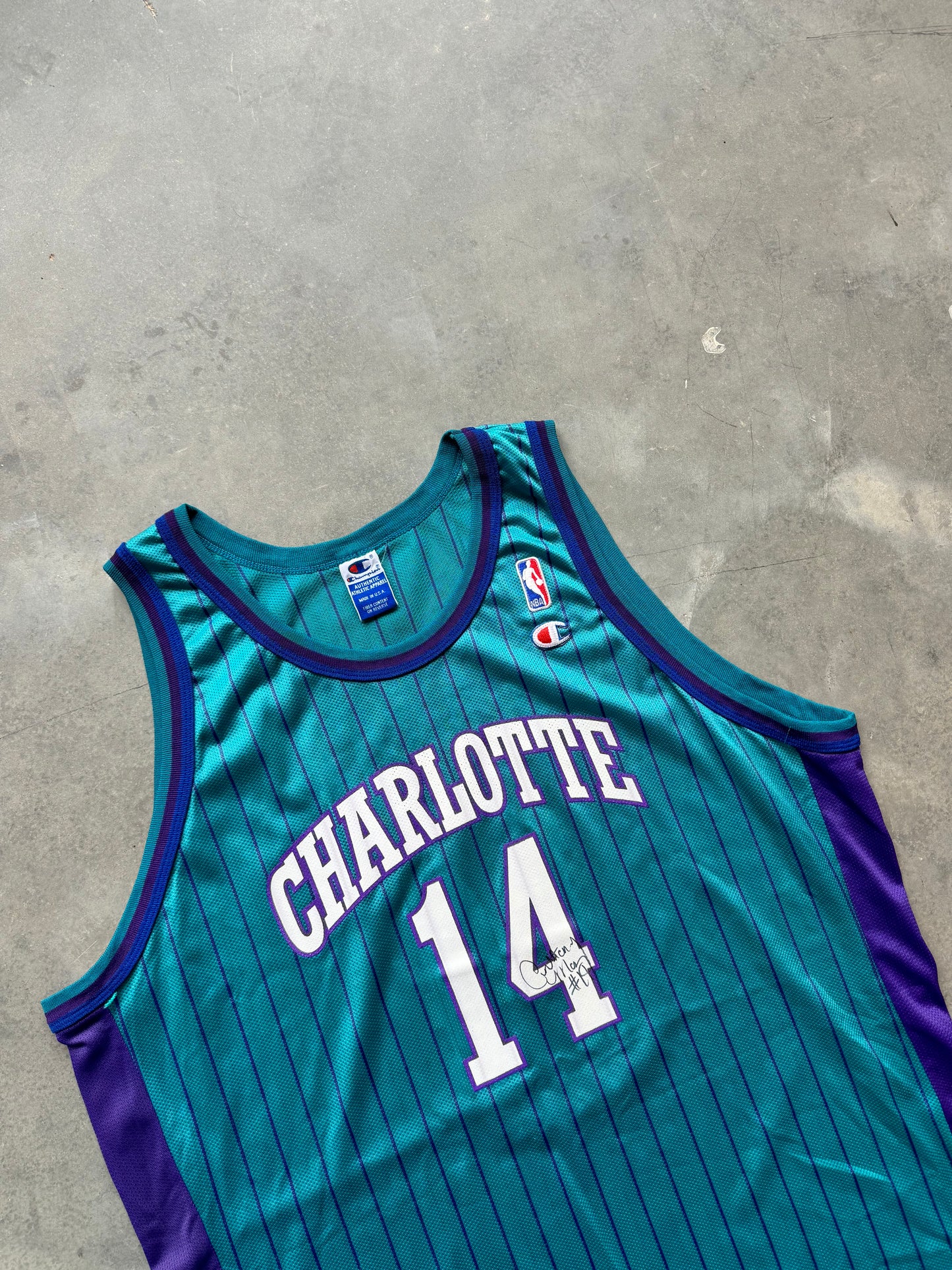 1997/1998 Charlotte Hornets Anthony Mason Vintage Teal Pinstriped Champion NBA Jersey - Deadstock & Signed (52/XXL)