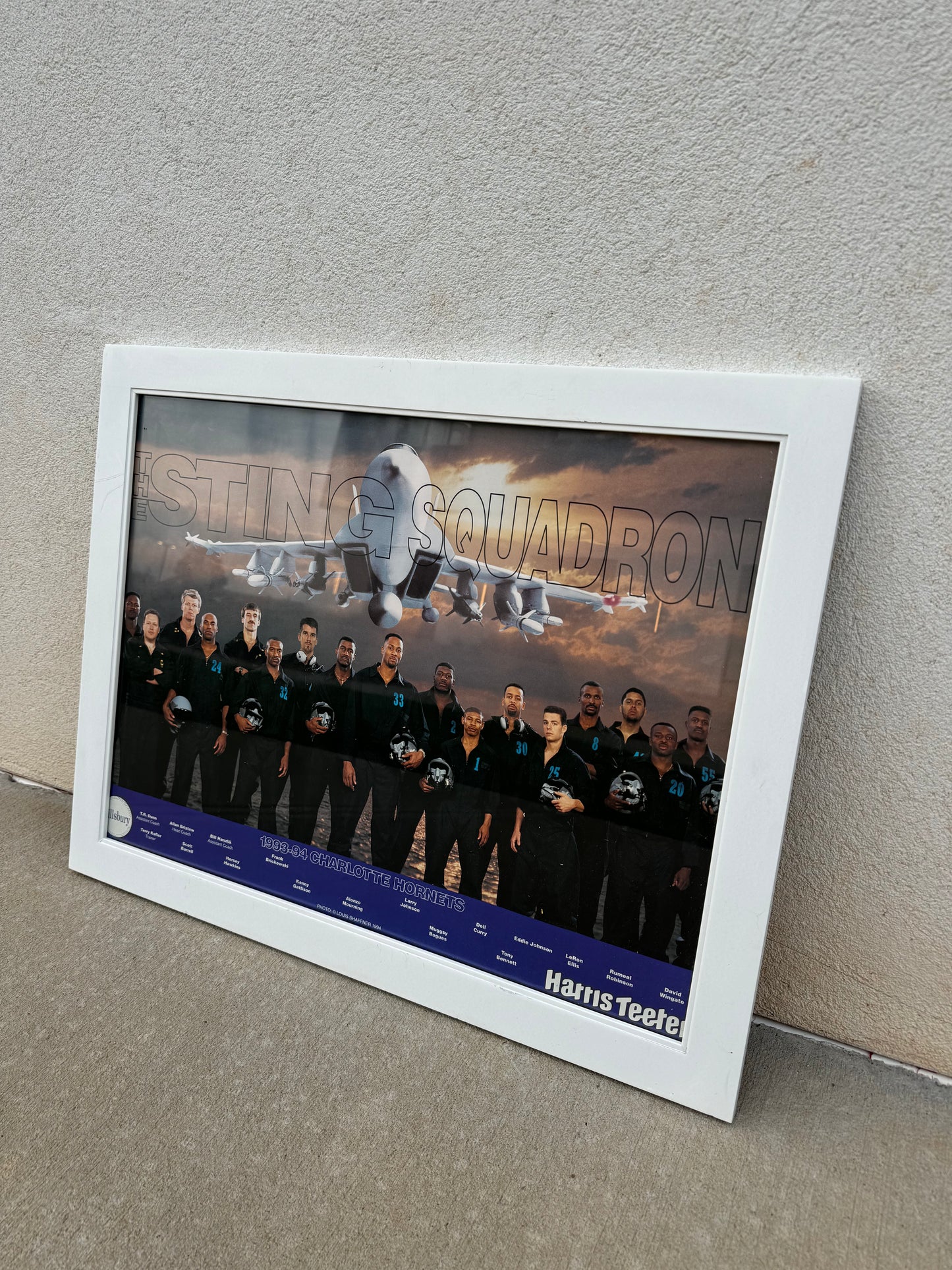1993/1994 Charlotte Hornets “Sting Squadron” Vintage Pillsbury Harris Teeter Team Roster Framed NBA Poster (21”x27”)