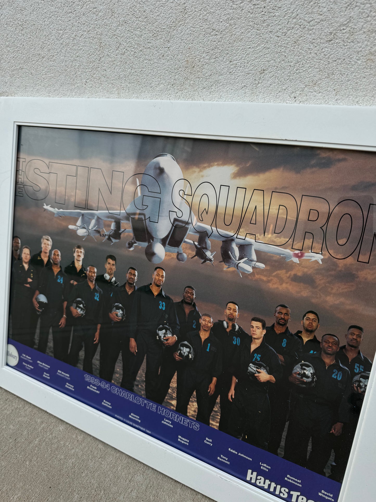 1993/1994 Charlotte Hornets “Sting Squadron” Vintage Pillsbury Harris Teeter Team Roster Framed NBA Poster (21”x27”)