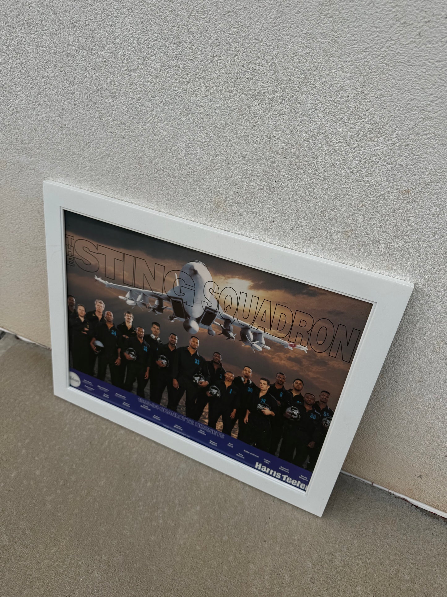 1993/1994 Charlotte Hornets “Sting Squadron” Vintage Pillsbury Harris Teeter Team Roster Framed NBA Poster (21”x27”)