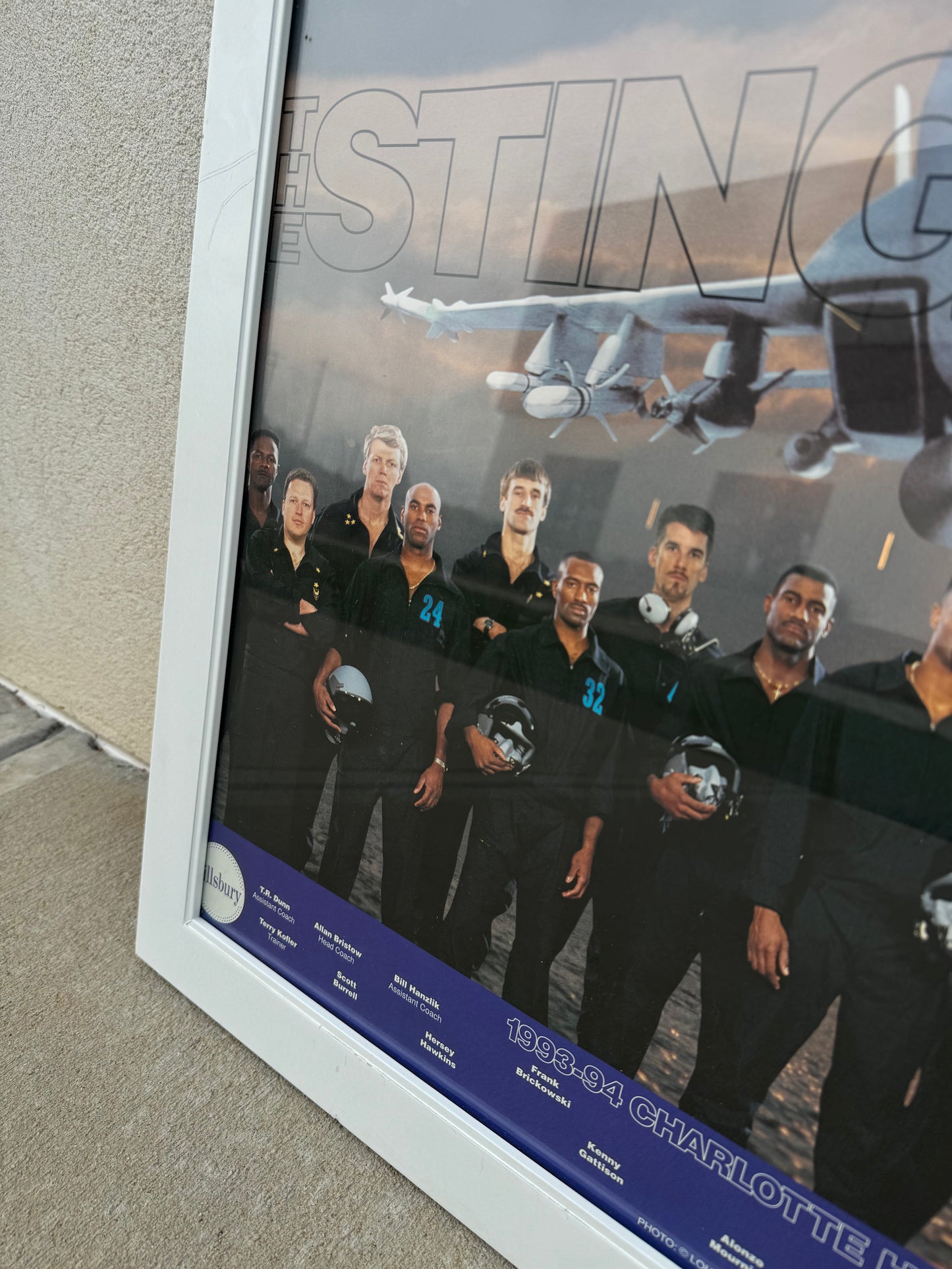 1993/1994 Charlotte Hornets “Sting Squadron” Vintage Pillsbury Harris Teeter Team Roster Framed NBA Poster (21”x27”)