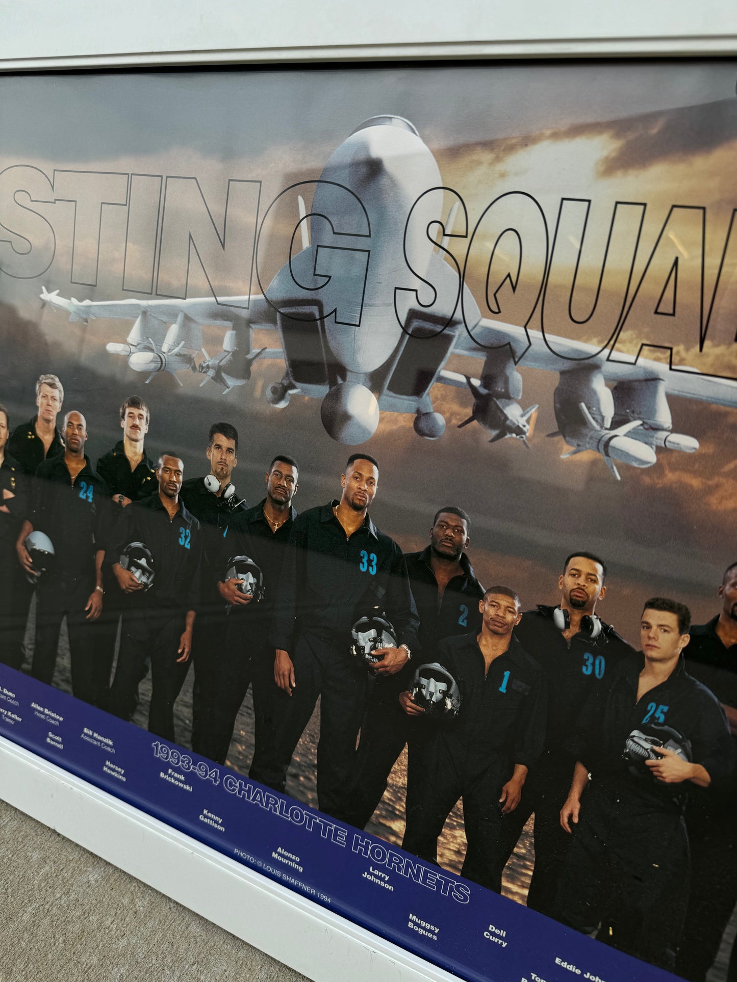 1993/1994 Charlotte Hornets “Sting Squadron” Vintage Pillsbury Harris Teeter Team Roster Framed NBA Poster (21”x27”)