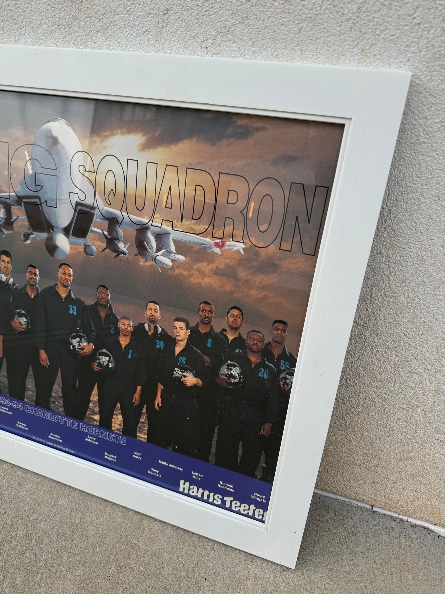 1993/1994 Charlotte Hornets “Sting Squadron” Vintage Pillsbury Harris Teeter Team Roster Framed NBA Poster (21”x27”)