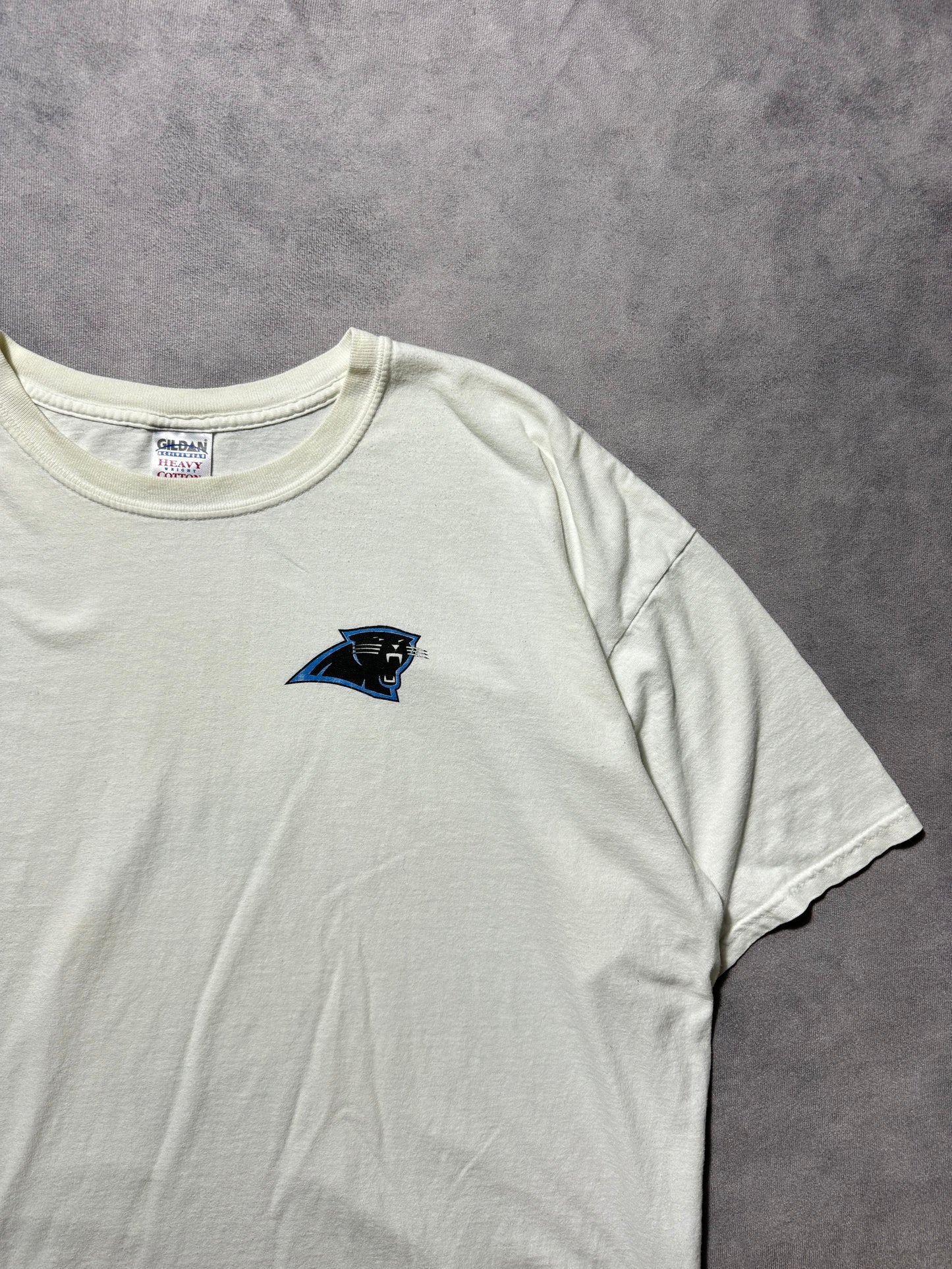 00’s Carolina Panthers Vintage White Absolut Vodka Rip NFL Parking Lot NFL Tee (XXL)