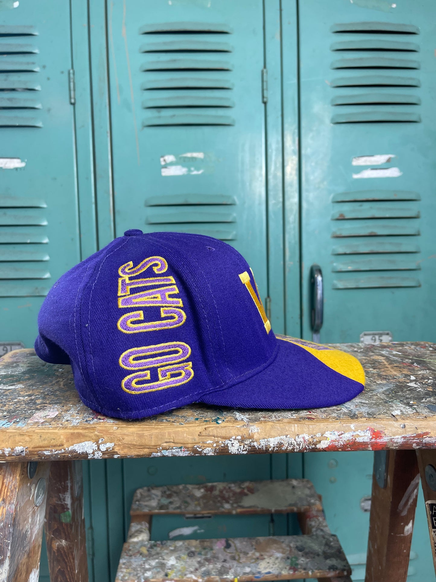 90’s Western Carolina University Catamounts Vintage College Snapback Hat (OSFA)