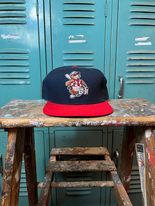 90’s Asheville Tourists Vintage Wool New Era MiLB Minor League Baseball Snapback Hat (OSFA)