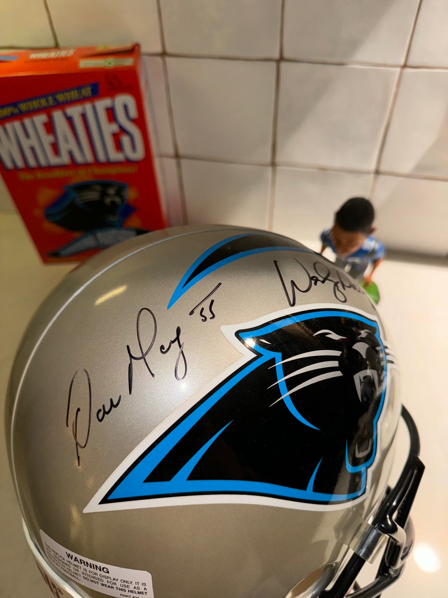 Wesley Riddell 2001 Carolina Panthers Vintage Riddell Full Sized NFL Helmet - Autogra ...
