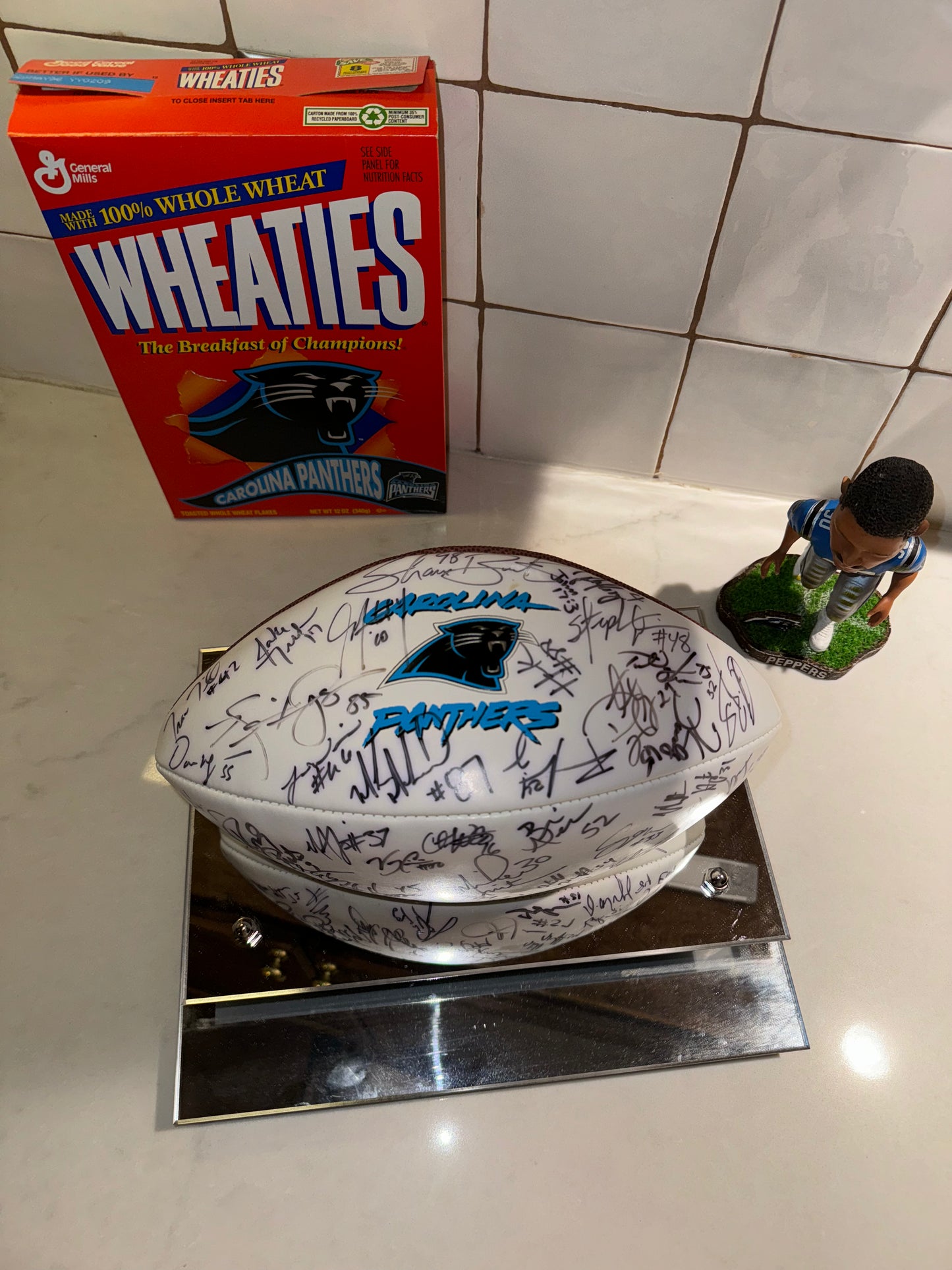2003 Carolina Panthers Vintage NFC Champions Super Bowl XXXVIII Full Team Autographed NFL Ball w/ Engraved Display