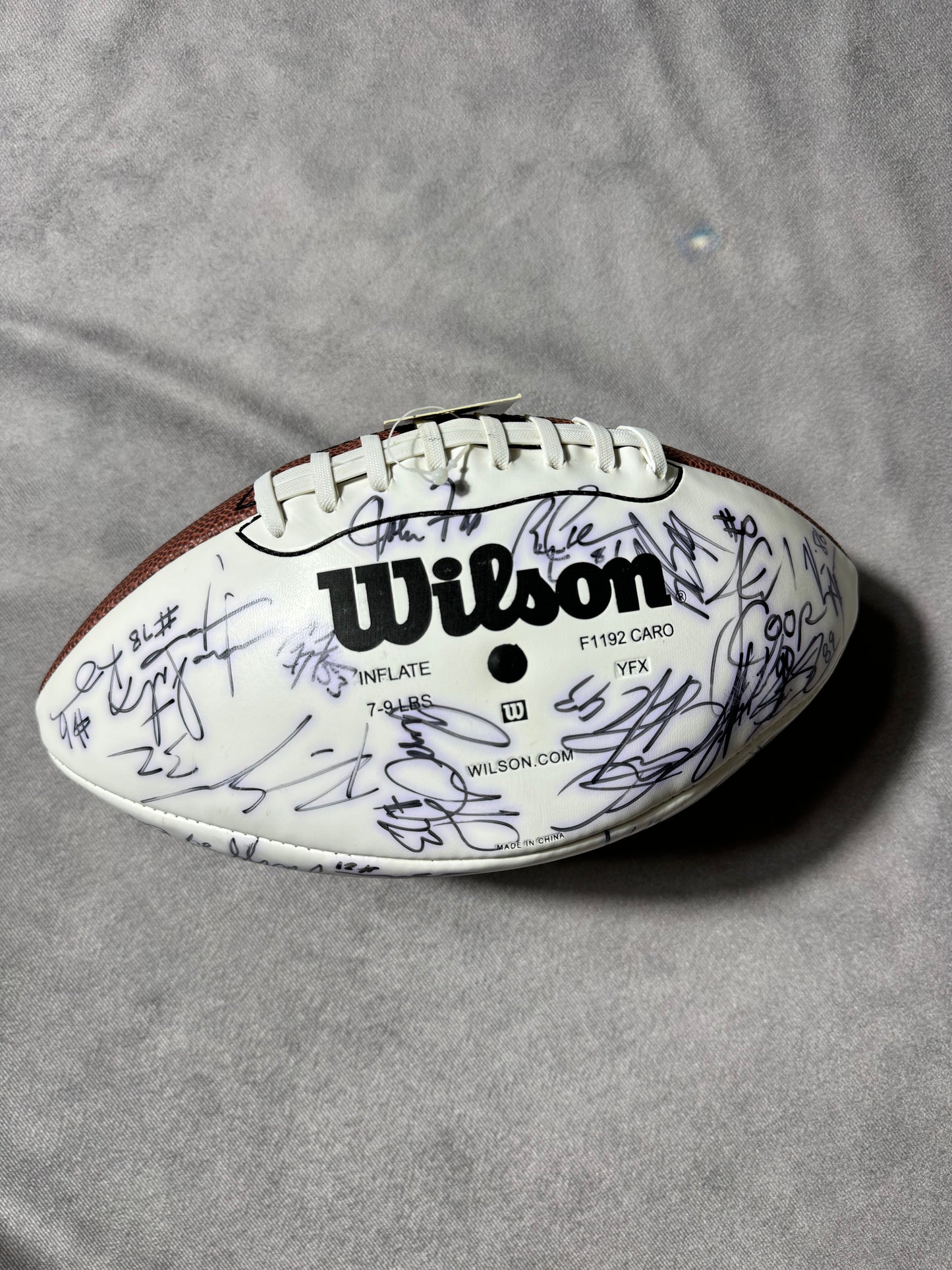 2003 Carolina Panthers Vintage NFC Champions Super Bowl XXXVIII Full Team Autographed NFL Ball w/ Engraved Display