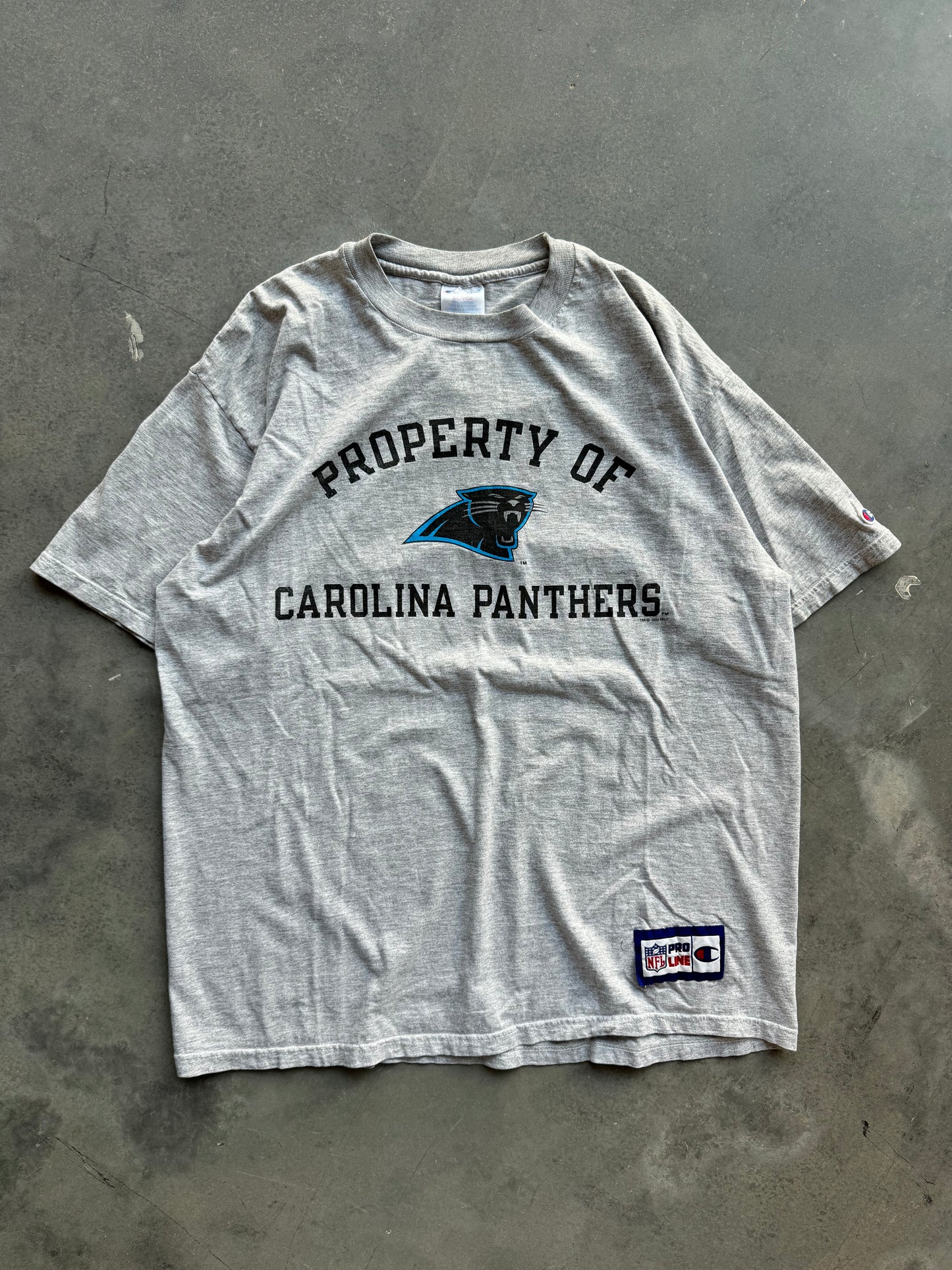 1996 Carolina Panthers Vintage Champion NFL Pro Line Tee (XL)