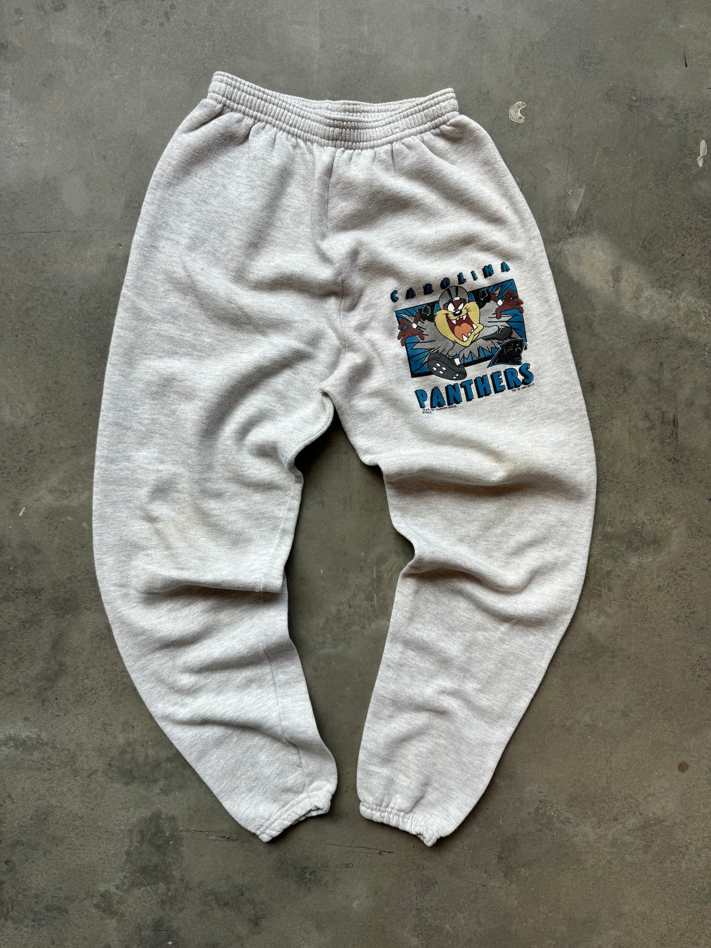 1997 Carolina Panthers x Taz x Looney Tunes Vintage Heather Grey NFL Sweatpants (Youth Large)