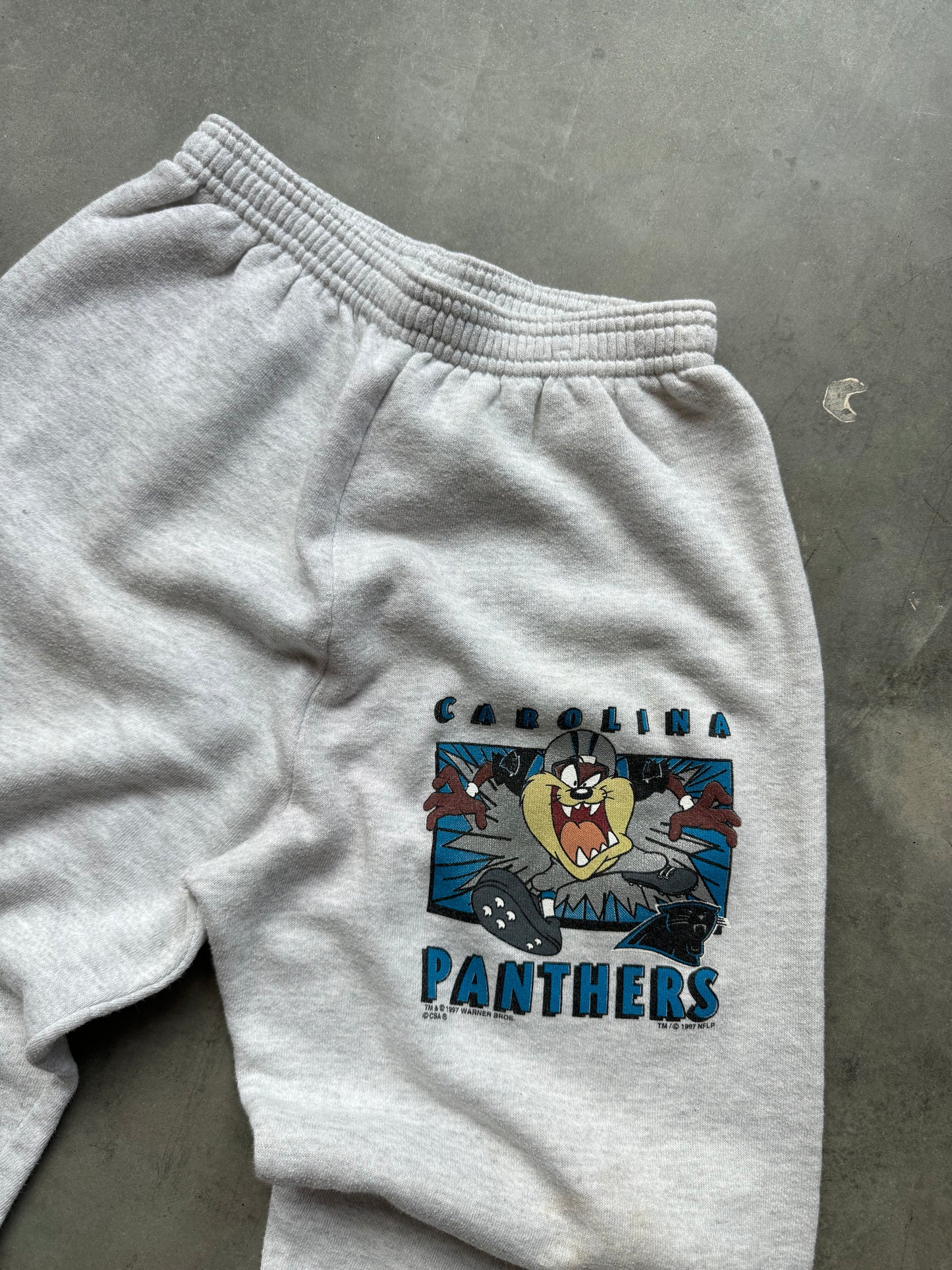 1997 Carolina Panthers x Taz x Looney Tunes Vintage Heather Grey NFL Sweatpants (Youth Large)