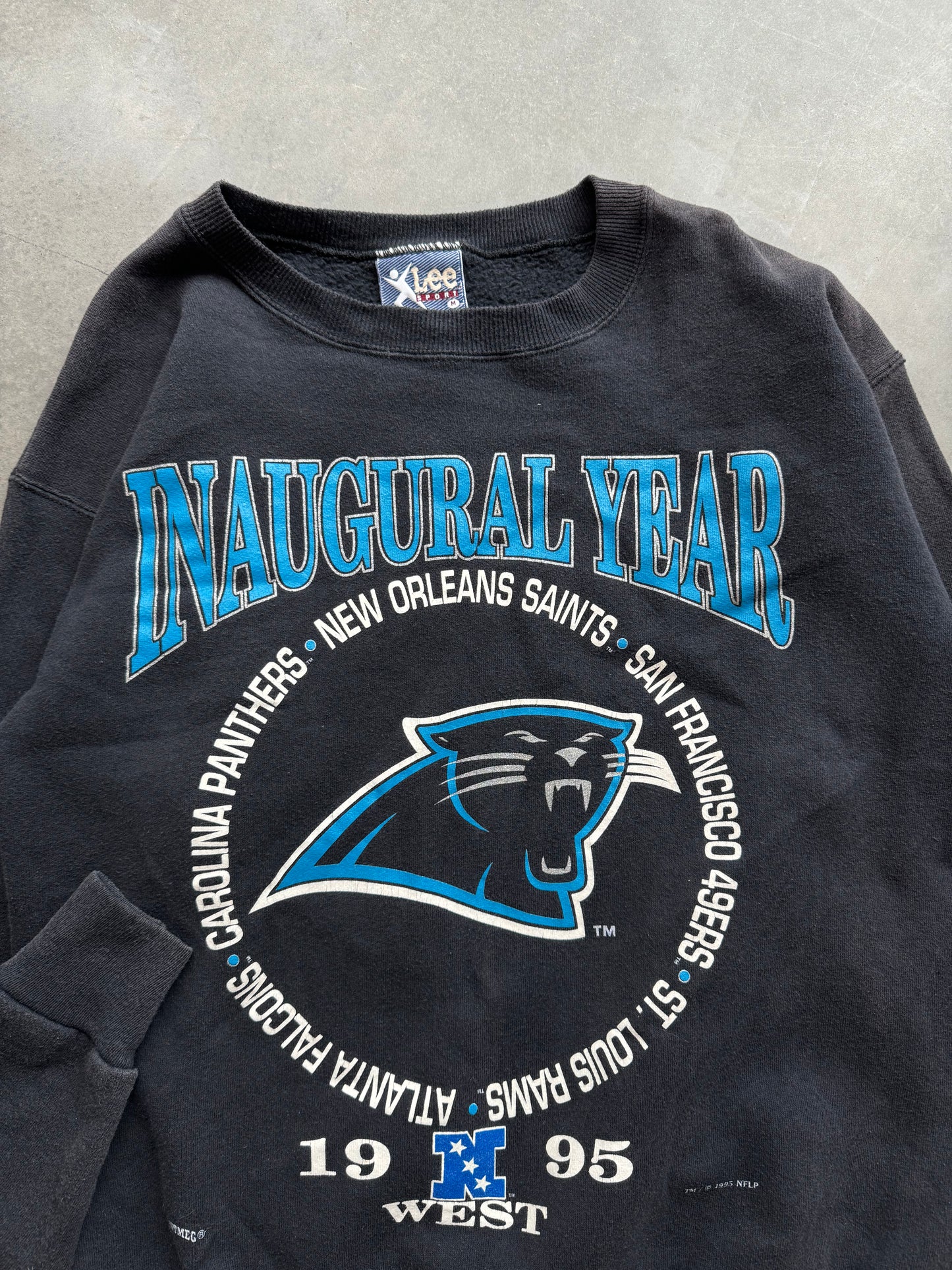 1995 Carolina Panthers Inaugural Season Block Letter Sphere Spellout Vintage NFL Lee Sport Crewneck (Medium)