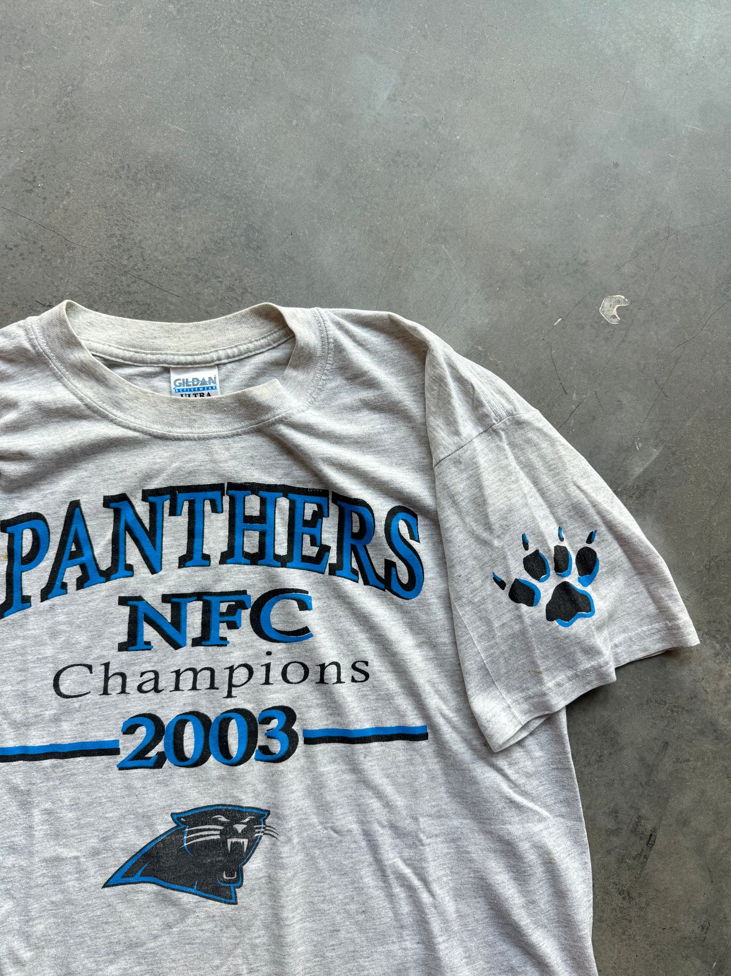 2003 Carolina Panthers Vintage NFC Champions Paw Print NFL Tee (Large)