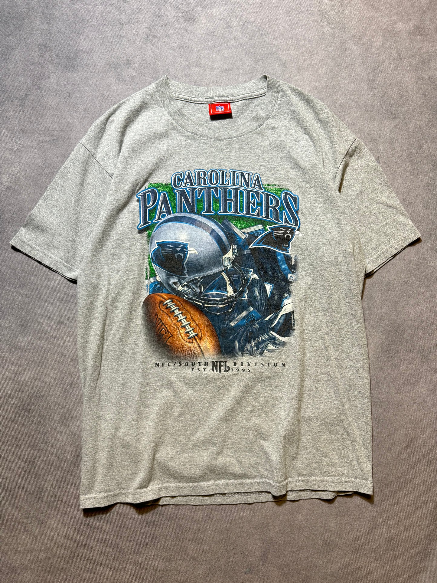 00’s Carolina Panthers Vintage NFC South Uniform Details NFL Tee (Large)