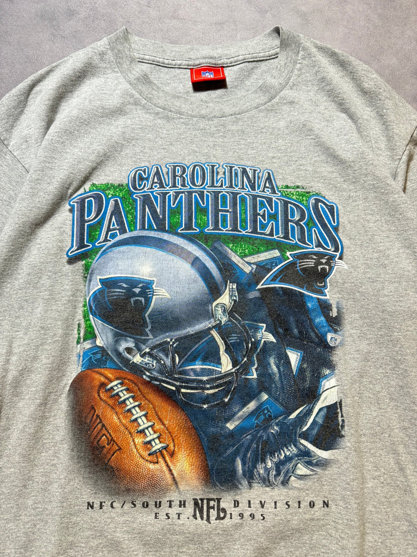 00’s Carolina Panthers Vintage NFC South Uniform Details NFL Tee (Large)
