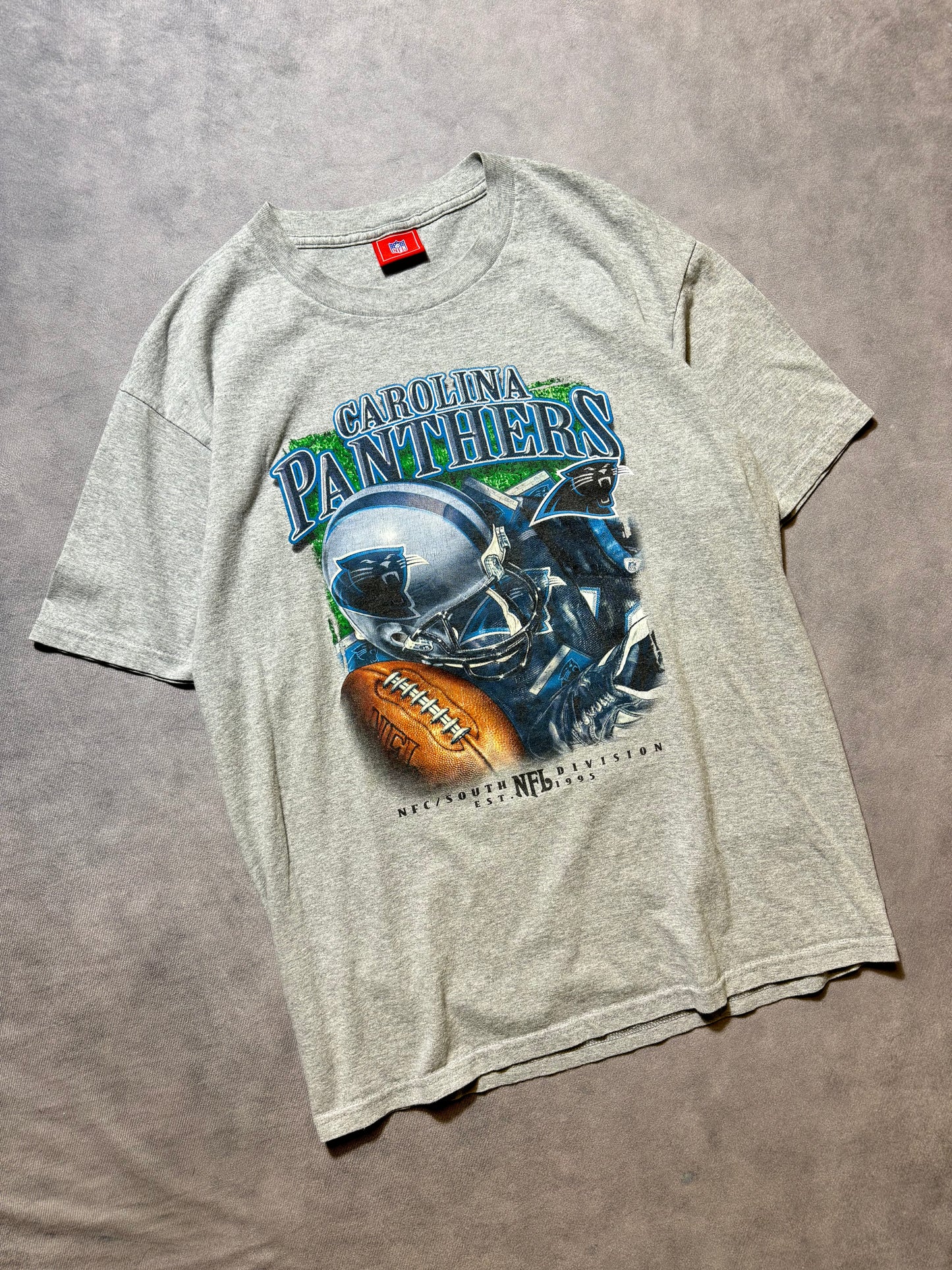 00’s Carolina Panthers Vintage NFC South Uniform Details NFL Tee (Large)