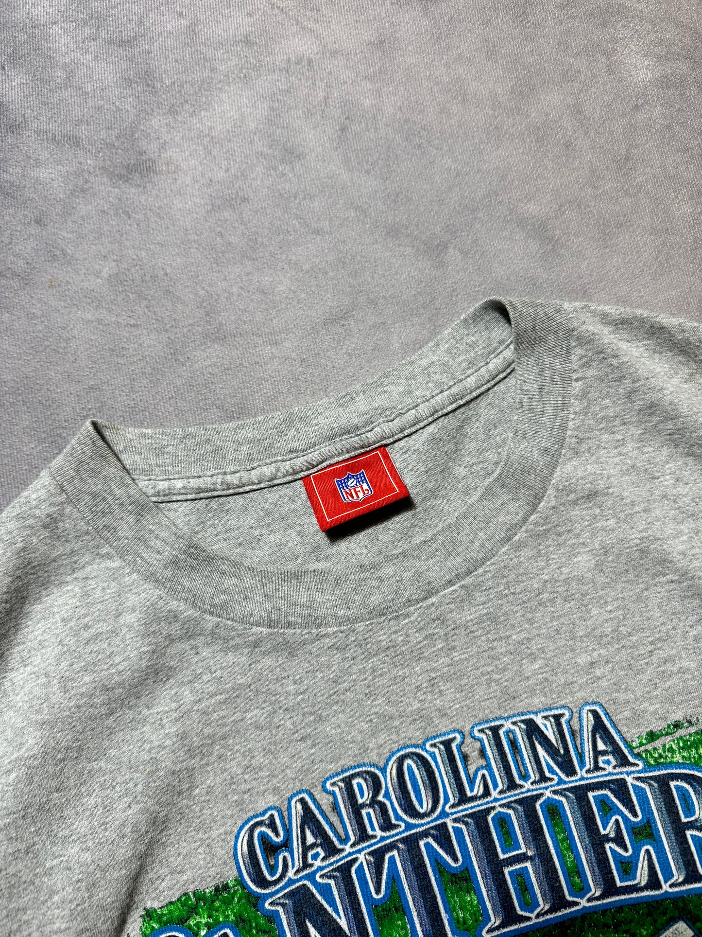 00’s Carolina Panthers Vintage NFC South Uniform Details NFL Tee (Large)