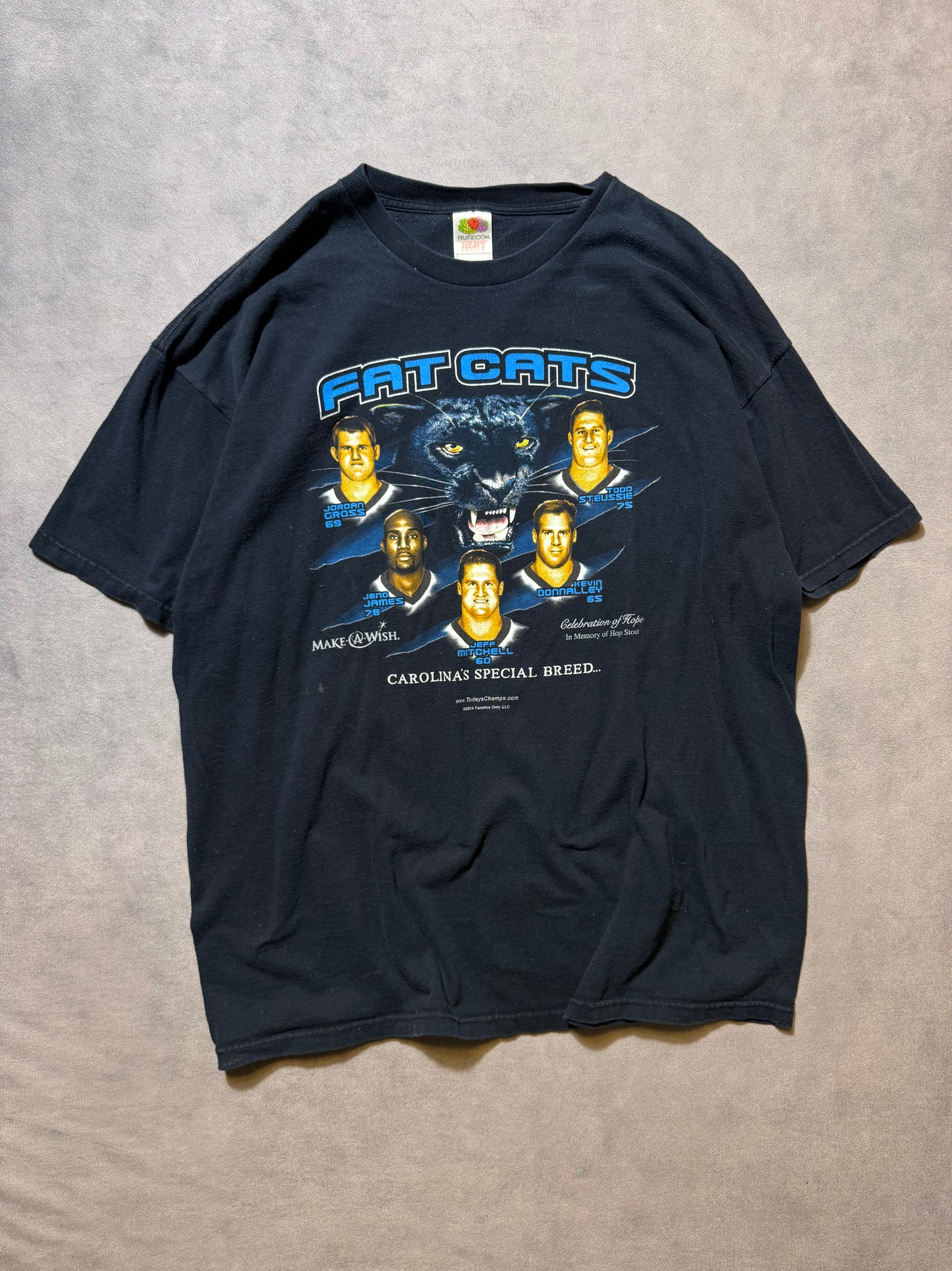 2004 Carolina Panthers “Fat Cats” Vintage Black Offensive Line NFL Tee (XXL)