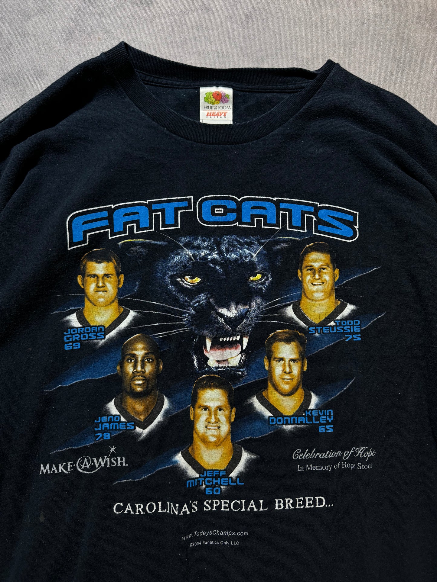 2004 Carolina Panthers “Fat Cats” Vintage Black Offensive Line NFL Tee (XXL)