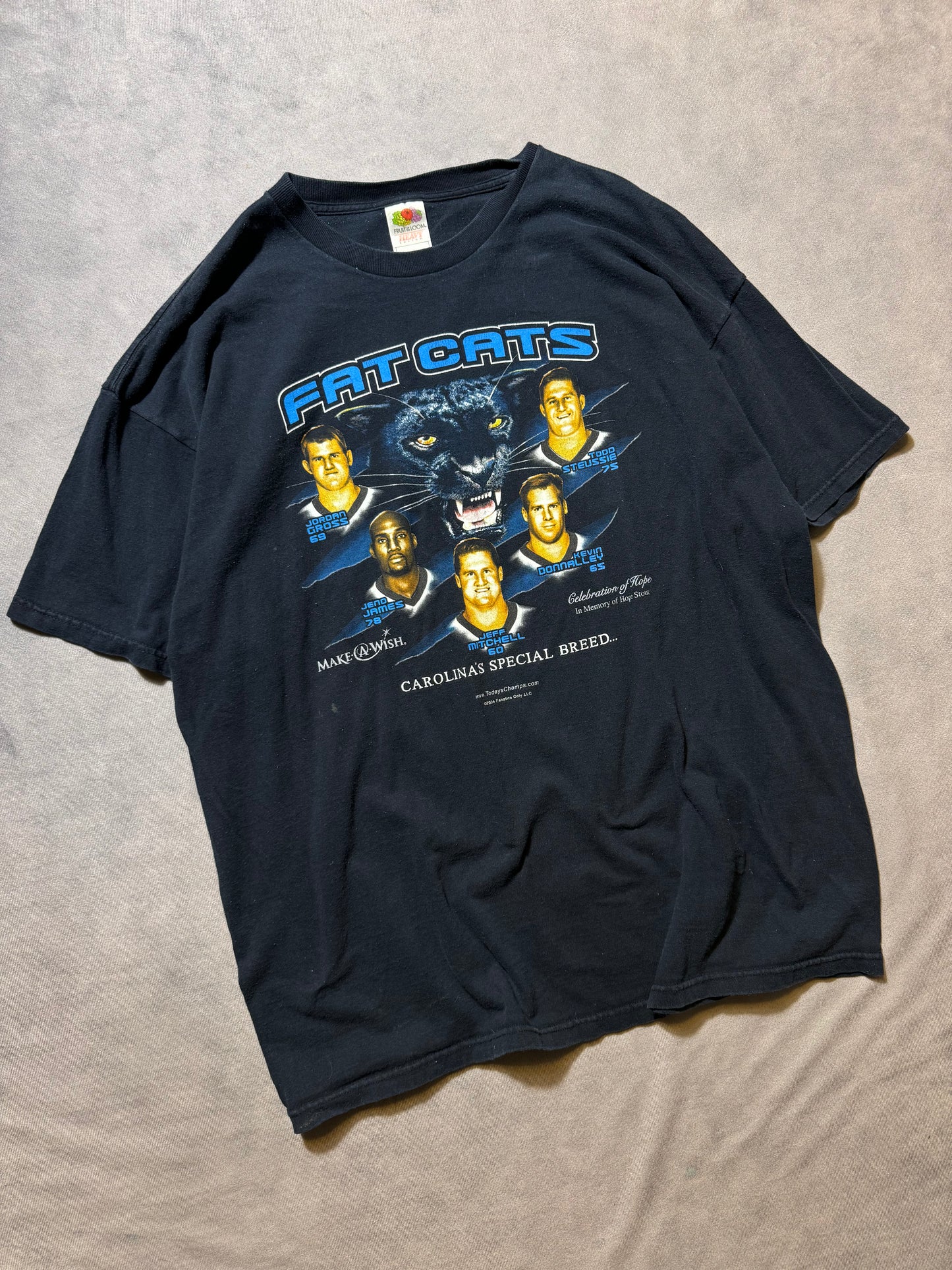 2004 Carolina Panthers “Fat Cats” Vintage Black Offensive Line NFL Tee (XXL)