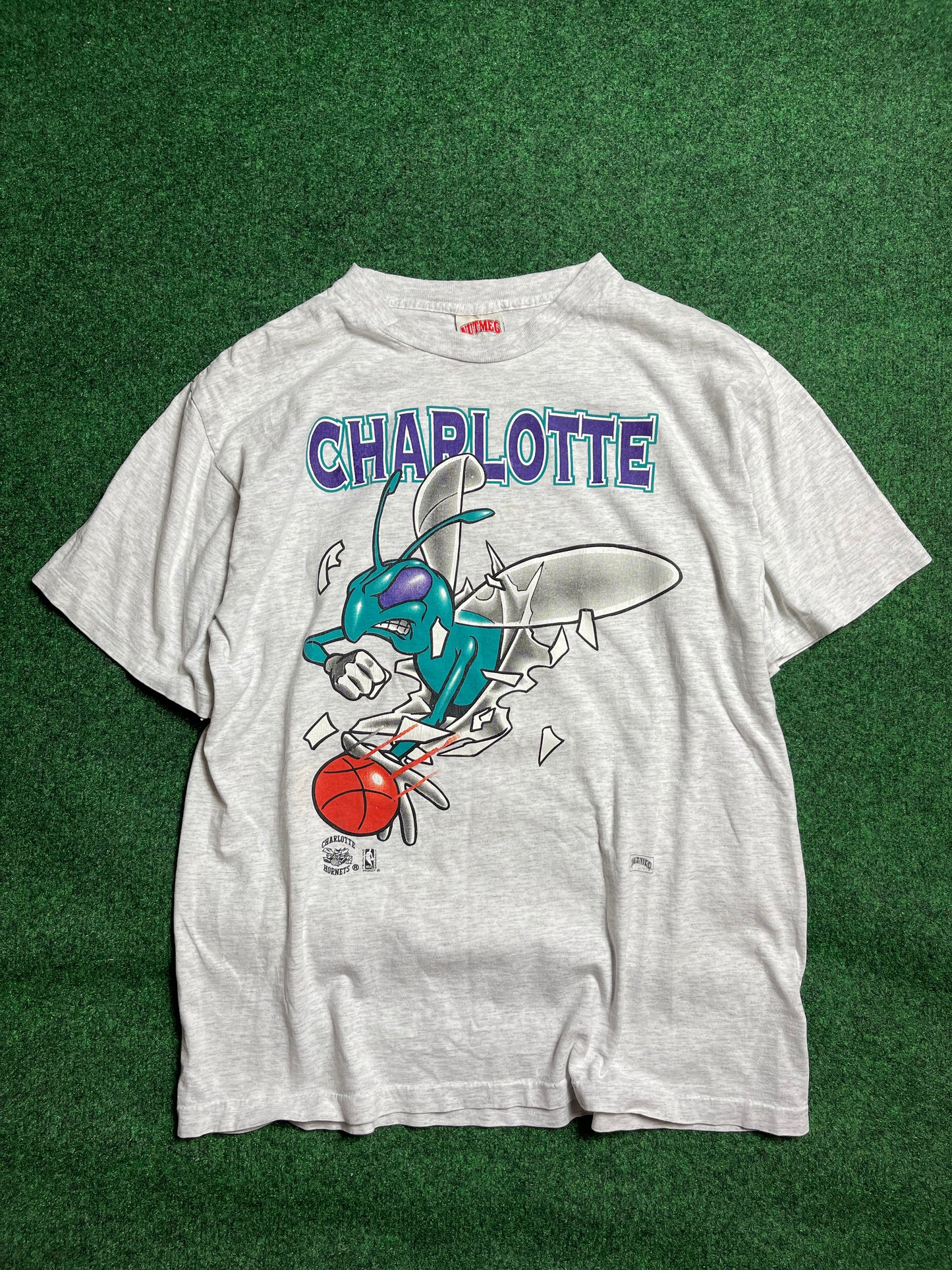 90’s Charlotte Hornets Vintage NBA Nutmeg Mills Breakthrough Tee (Large)