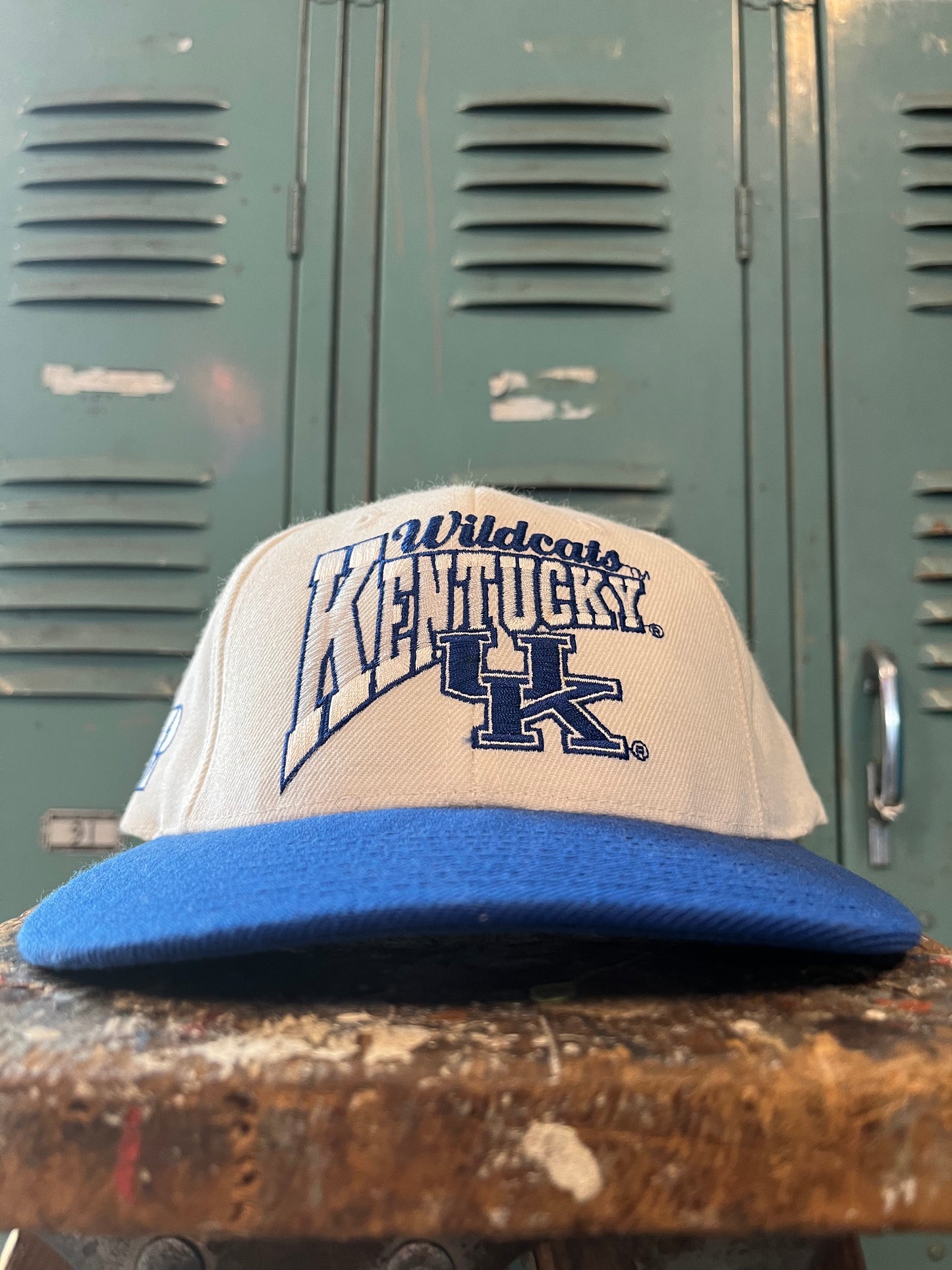 90s University Of Kentucky Wildcats Pro Player Vintage Hat (OSFA)