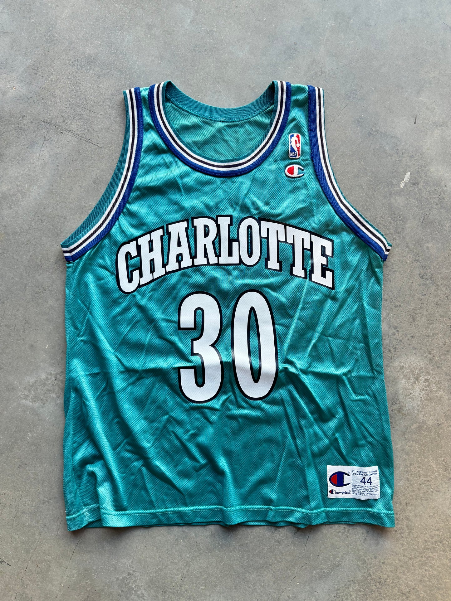 90’s Charlotte Hornets Dell Curry Vintage Teal Champion NBA Jersey (44/Large)