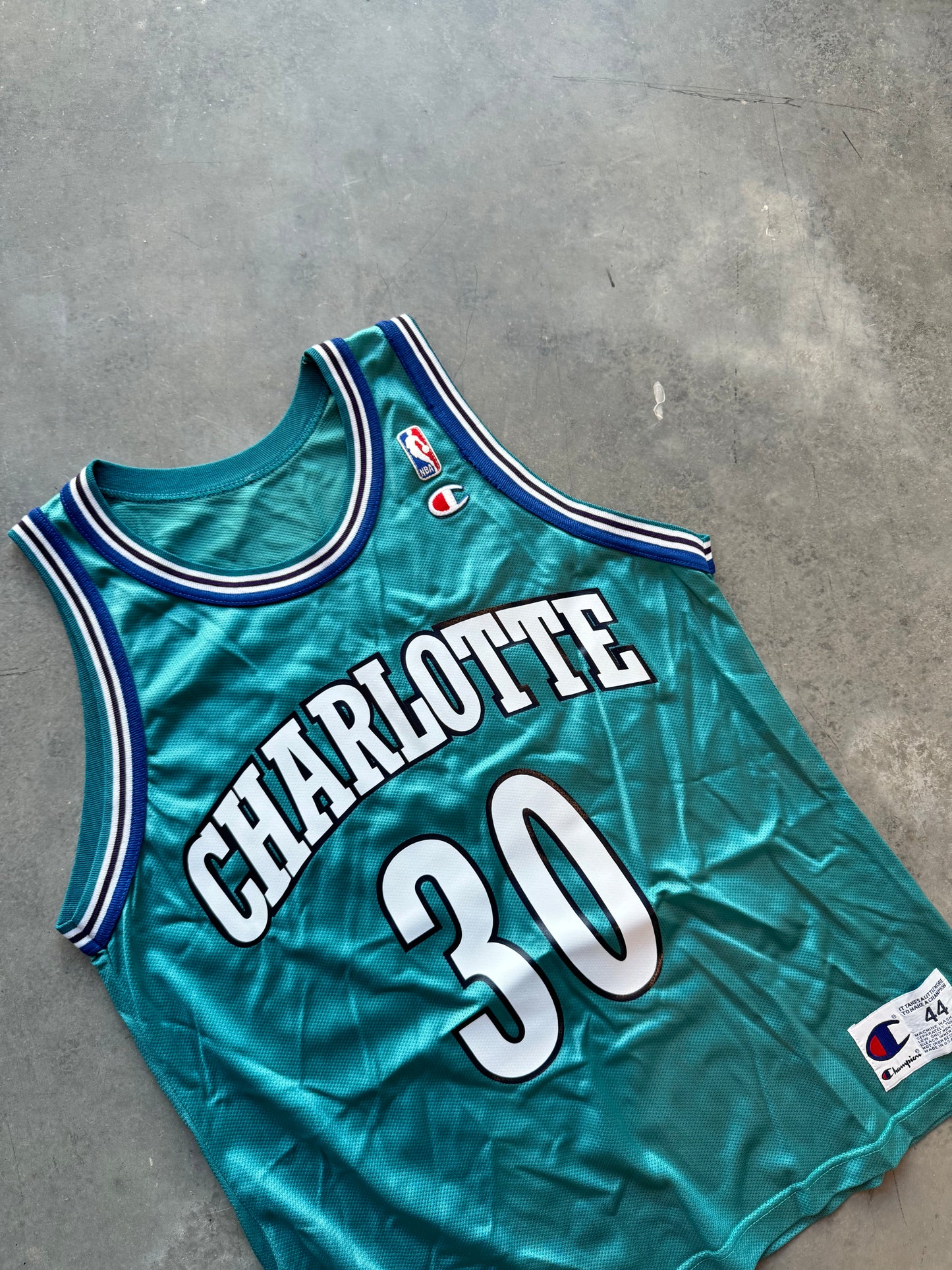 90’s Charlotte Hornets Dell Curry Vintage Teal Champion NBA Jersey (44/Large)