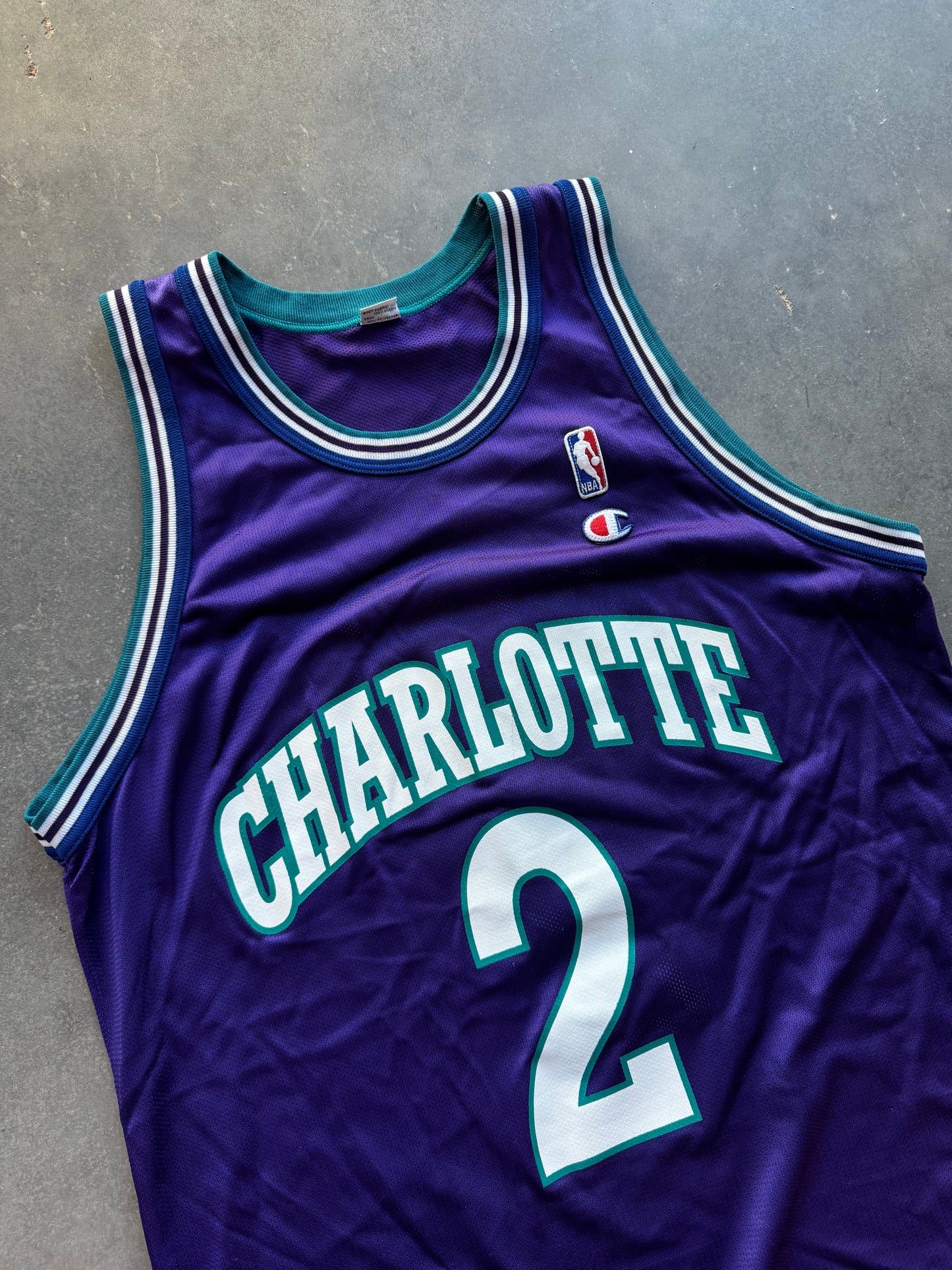 1995 Charlotte Hornets Larry Johnson Grandmama Vintage Purple Alternate Champion NBA Jersey (48/XL)