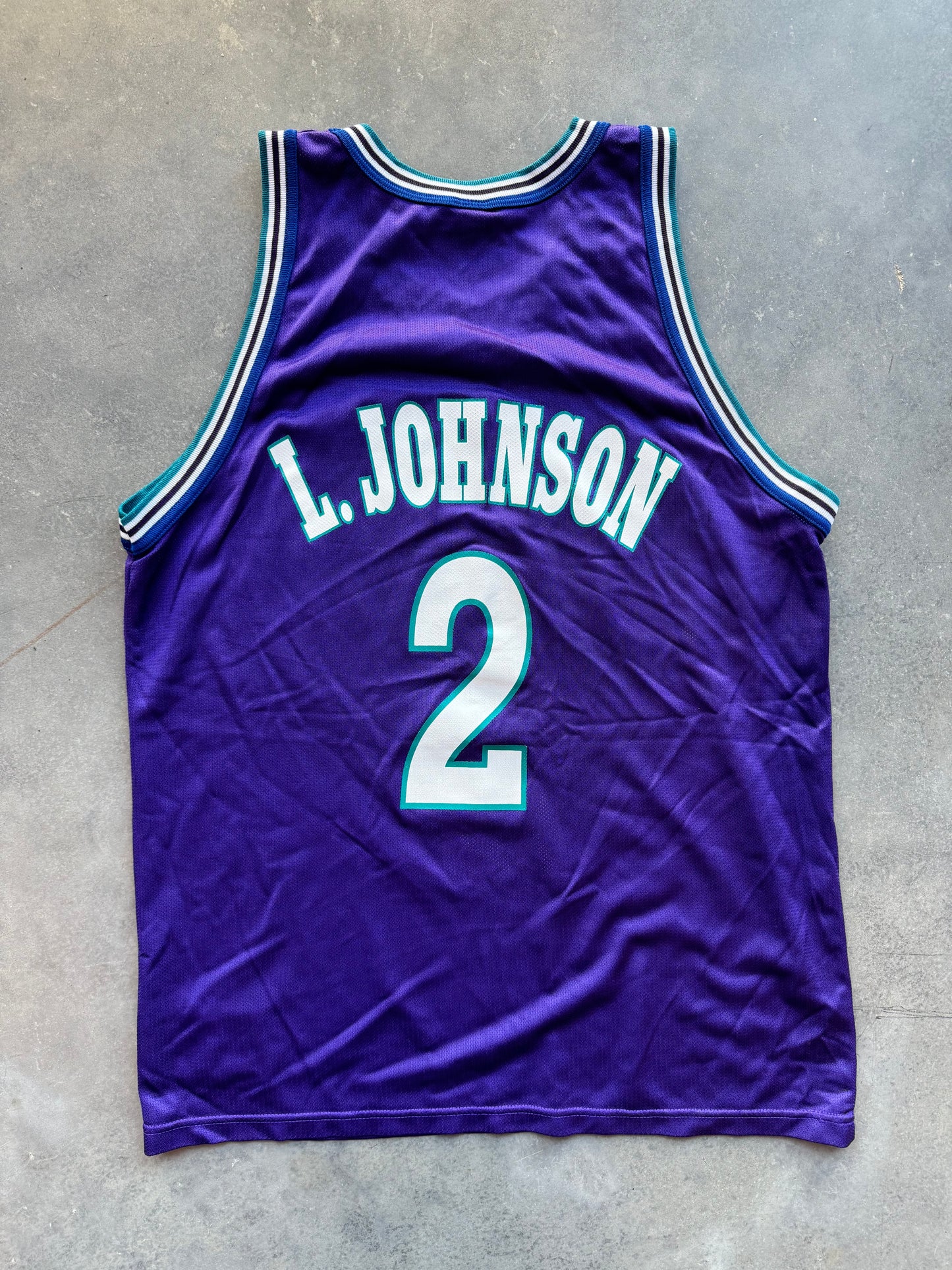 1995 Charlotte Hornets Larry Johnson Grandmama Vintage Purple Alternate Champion NBA Jersey (48/XL)