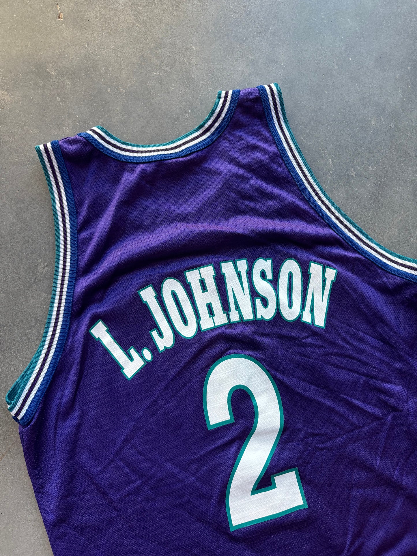 1995 Charlotte Hornets Larry Johnson Grandmama Vintage Purple Alternate Champion NBA Jersey (48/XL)